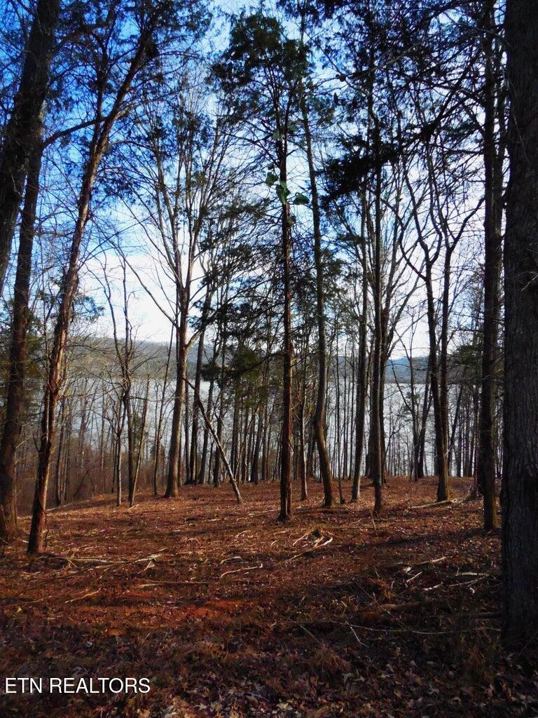 E Shore Lot 117 Drive Rockwood TN 37854