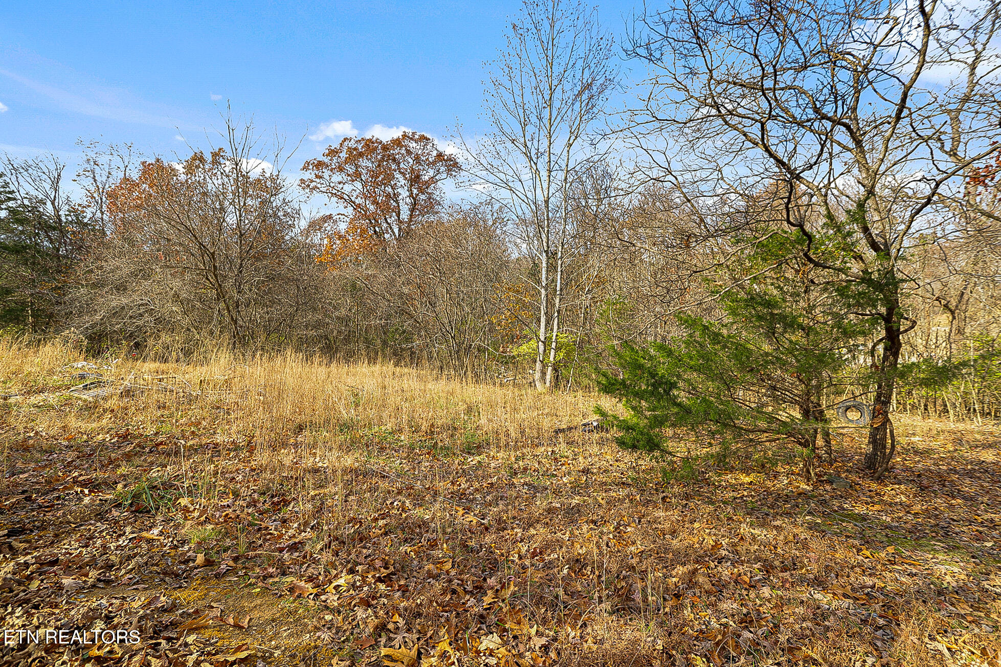 2131 Sockless Road Dandridge TN 37725
