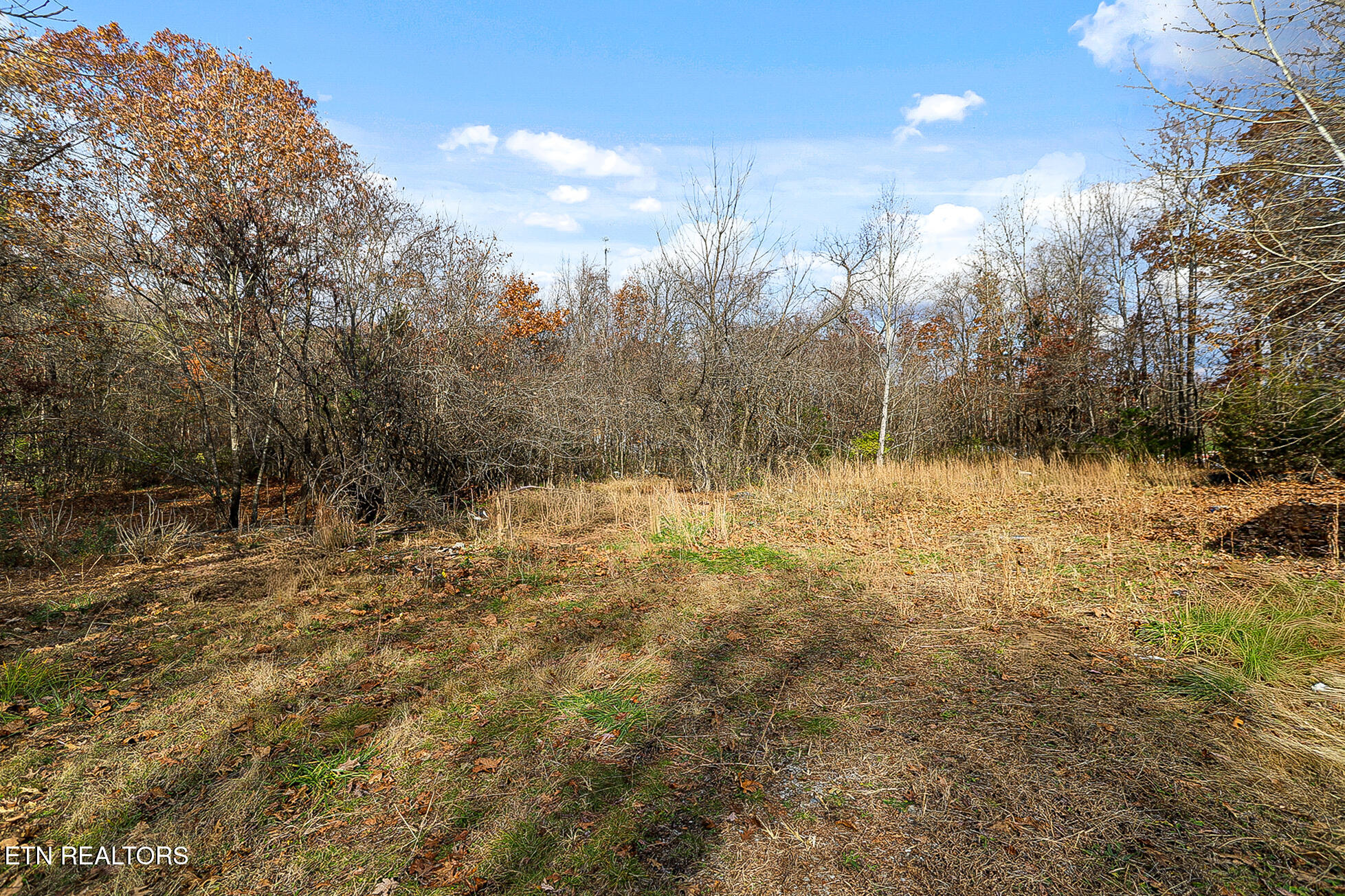2131 Sockless Road Dandridge TN 37725