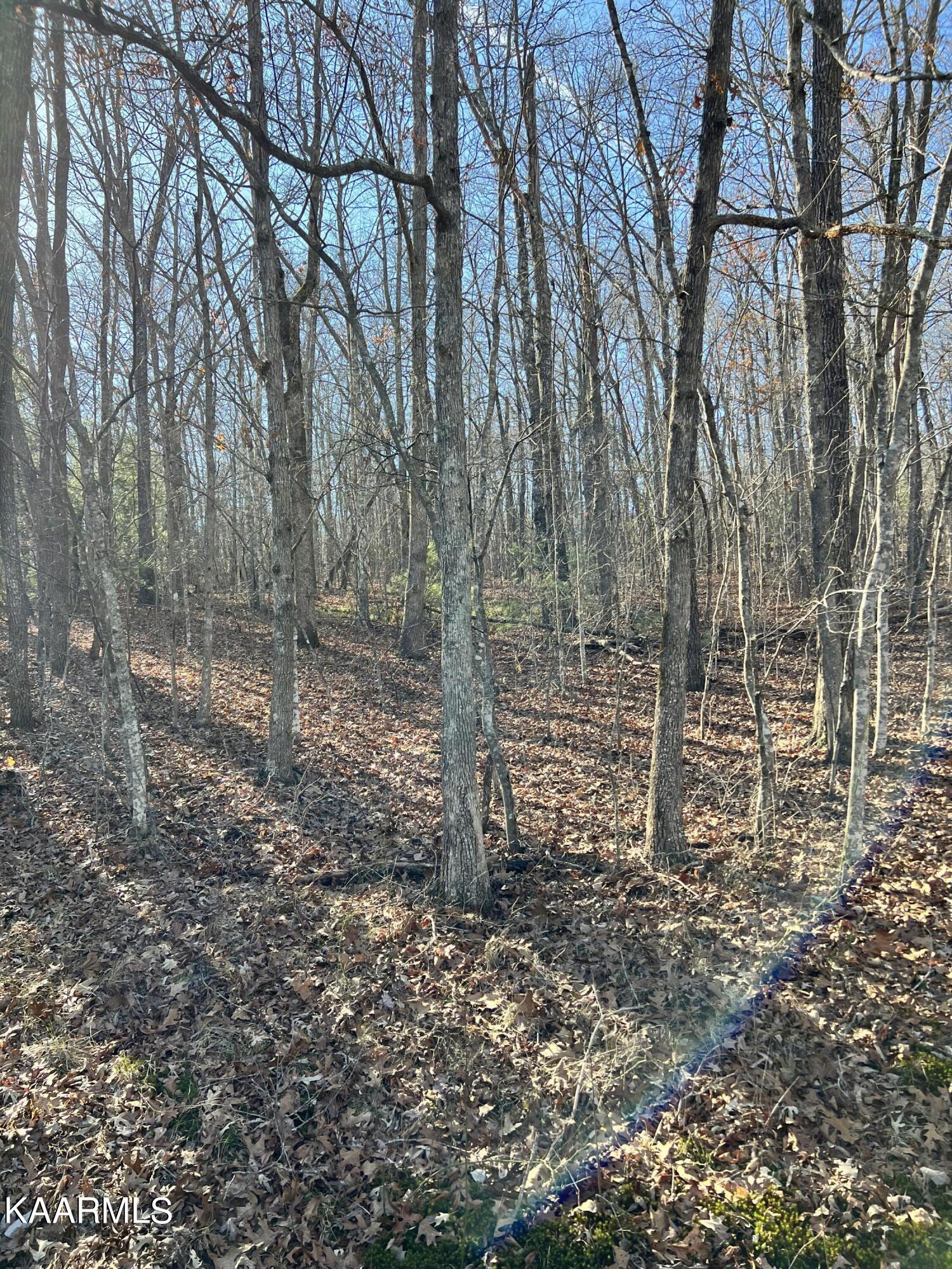 122 Hunterwood Lane Crossville TN 38558