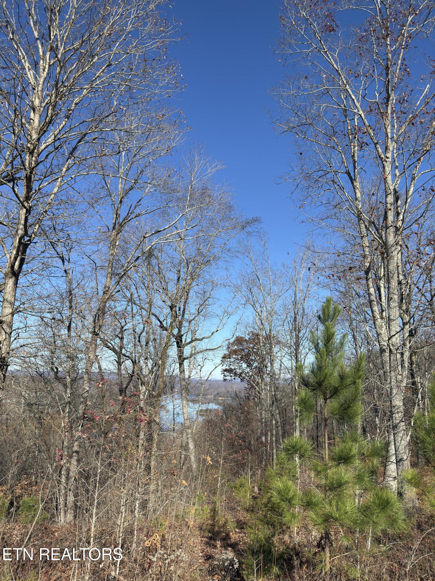 161 Highland Reserve Way Kingston TN 37763