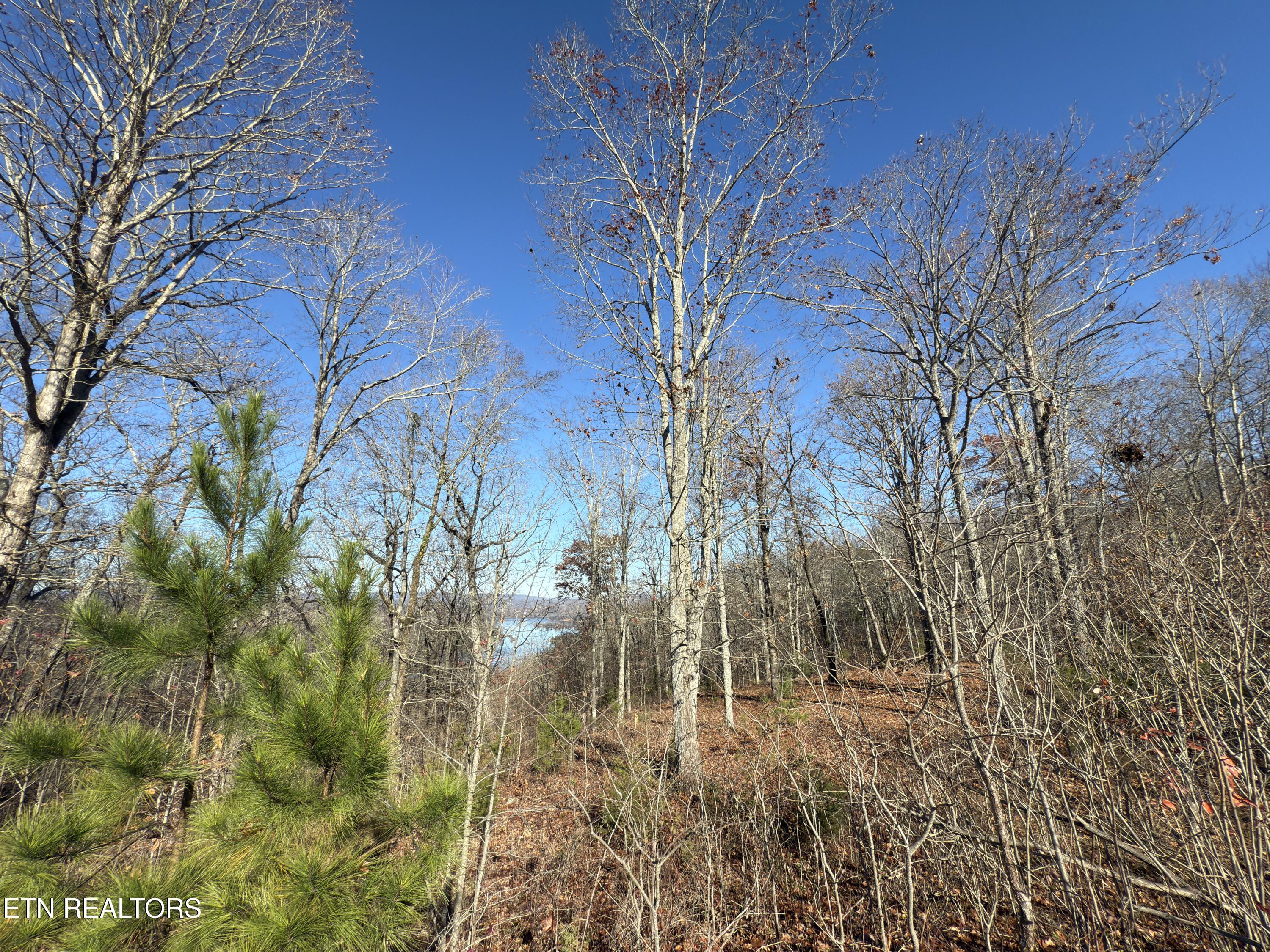 161 Highland Reserve Way Kingston TN 37763