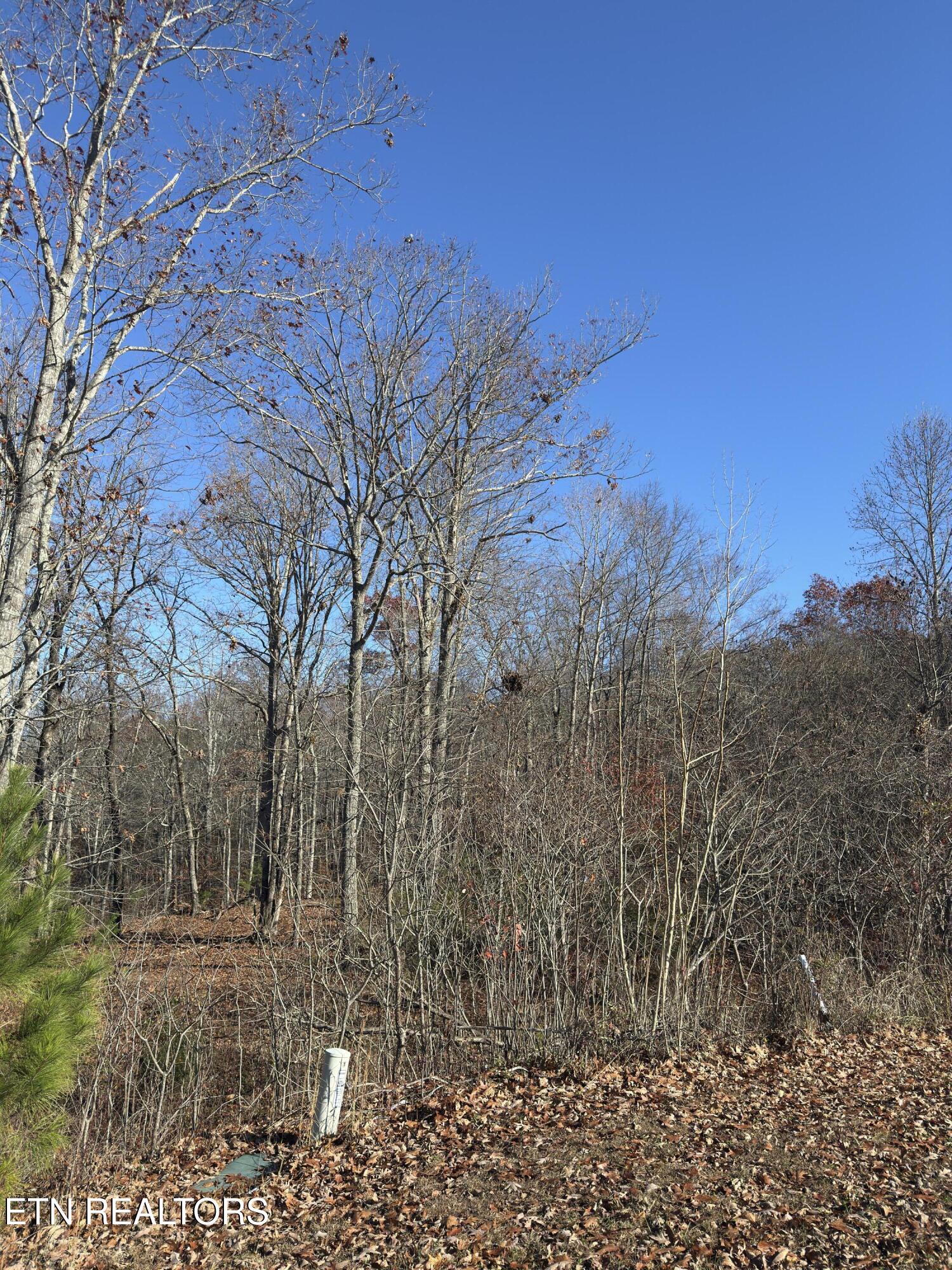 161 Highland Reserve Way Kingston TN 37763