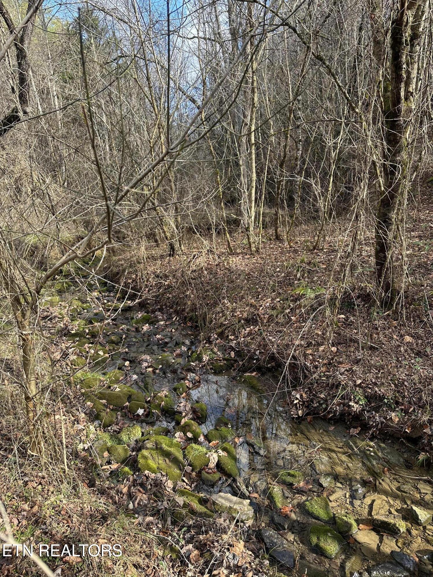 000 Leatherwood Road Sevierville TN 37876