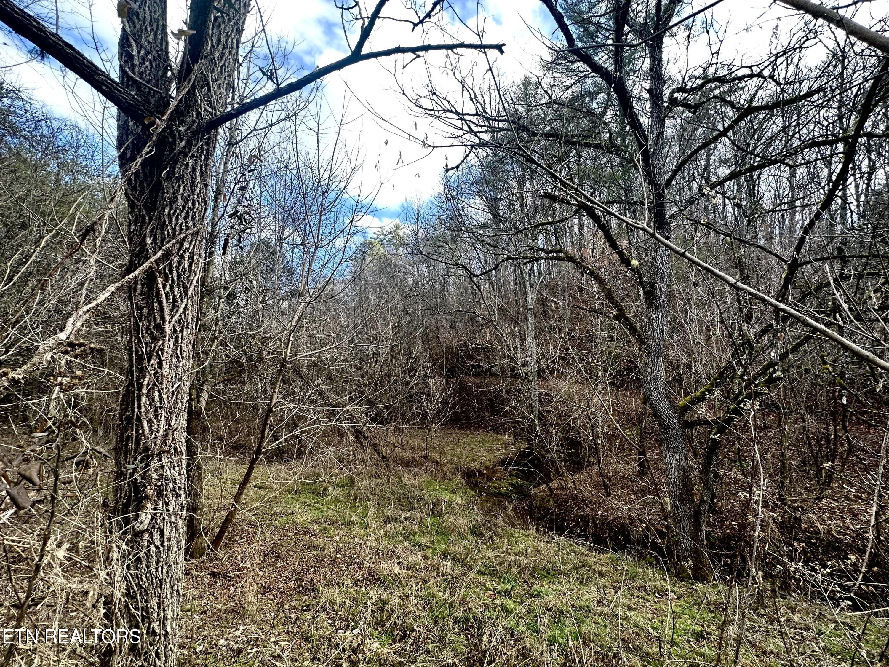 000 Leatherwood Road Sevierville TN 37876