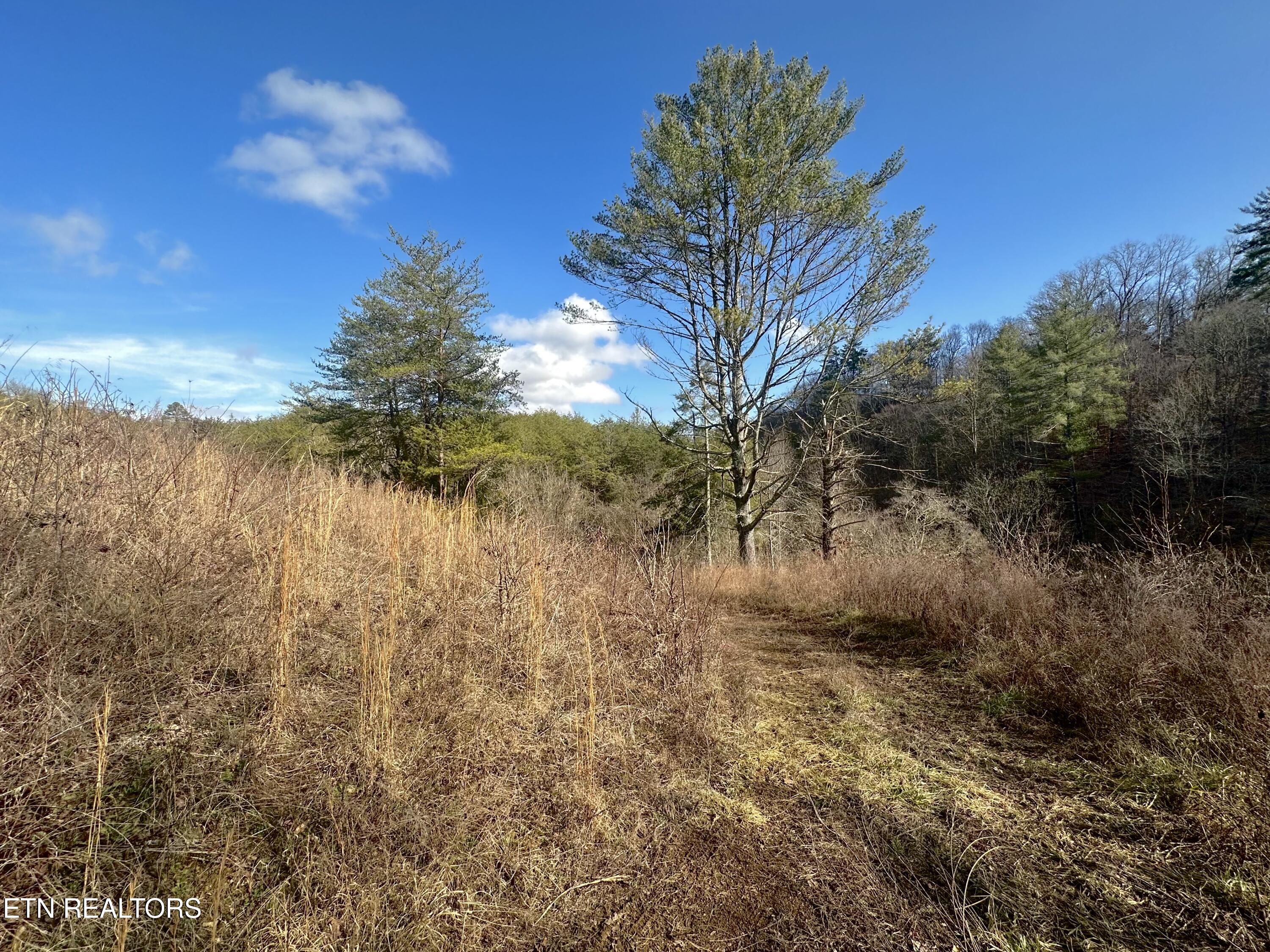 000 Leatherwood Road Sevierville TN 37876