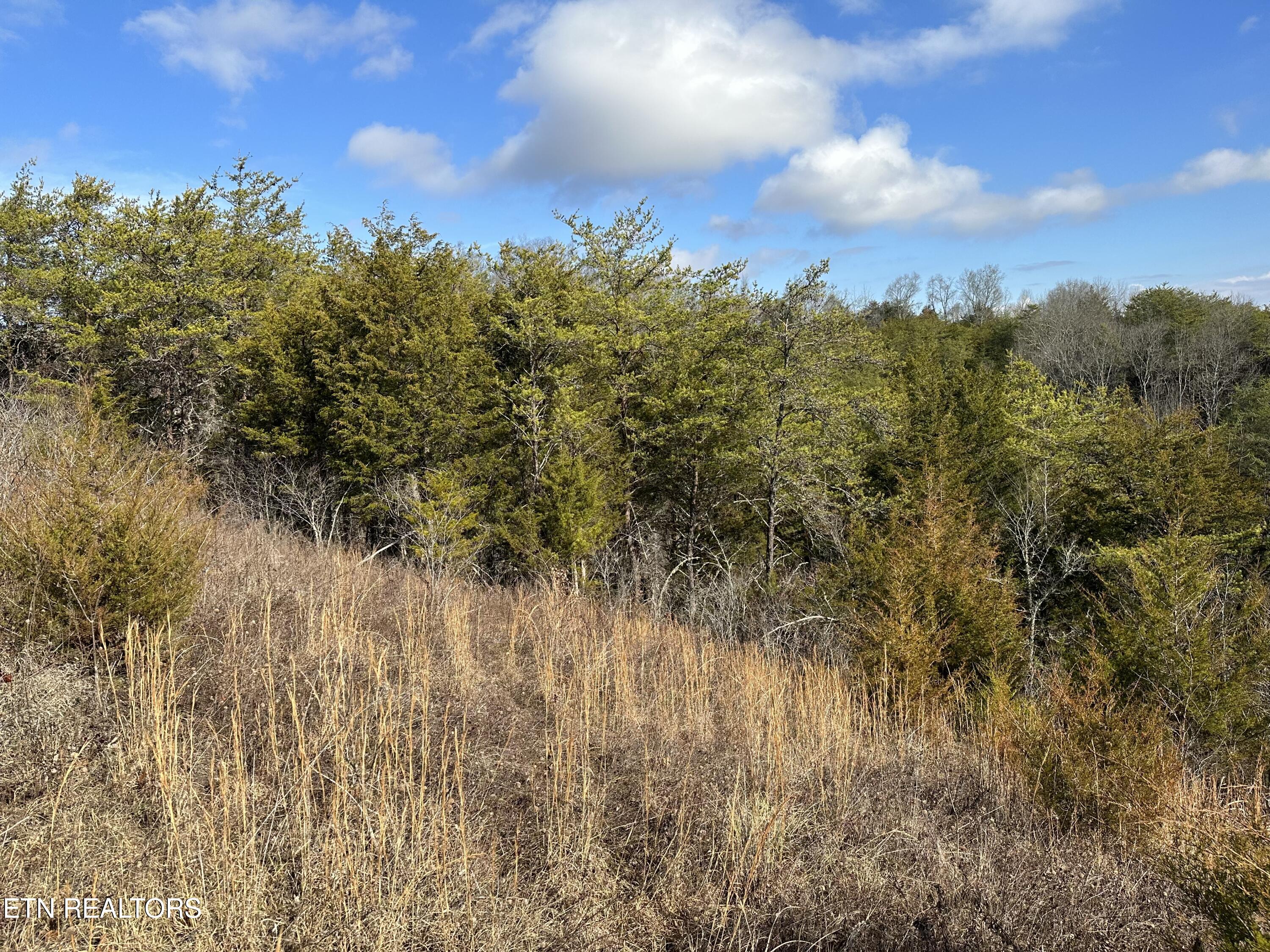 000 Leatherwood Road Sevierville TN 37876