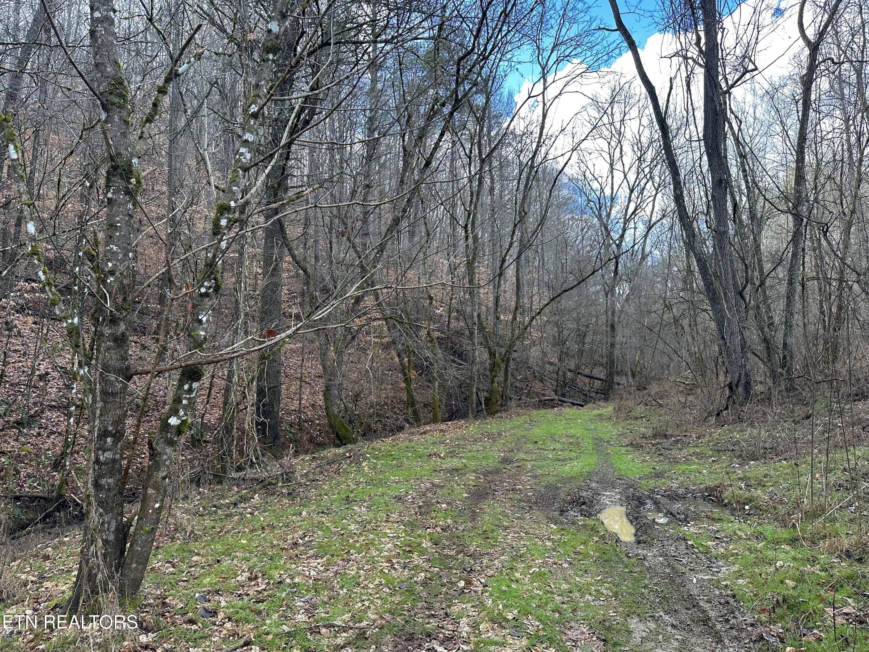 000 Leatherwood Road Sevierville TN 37876