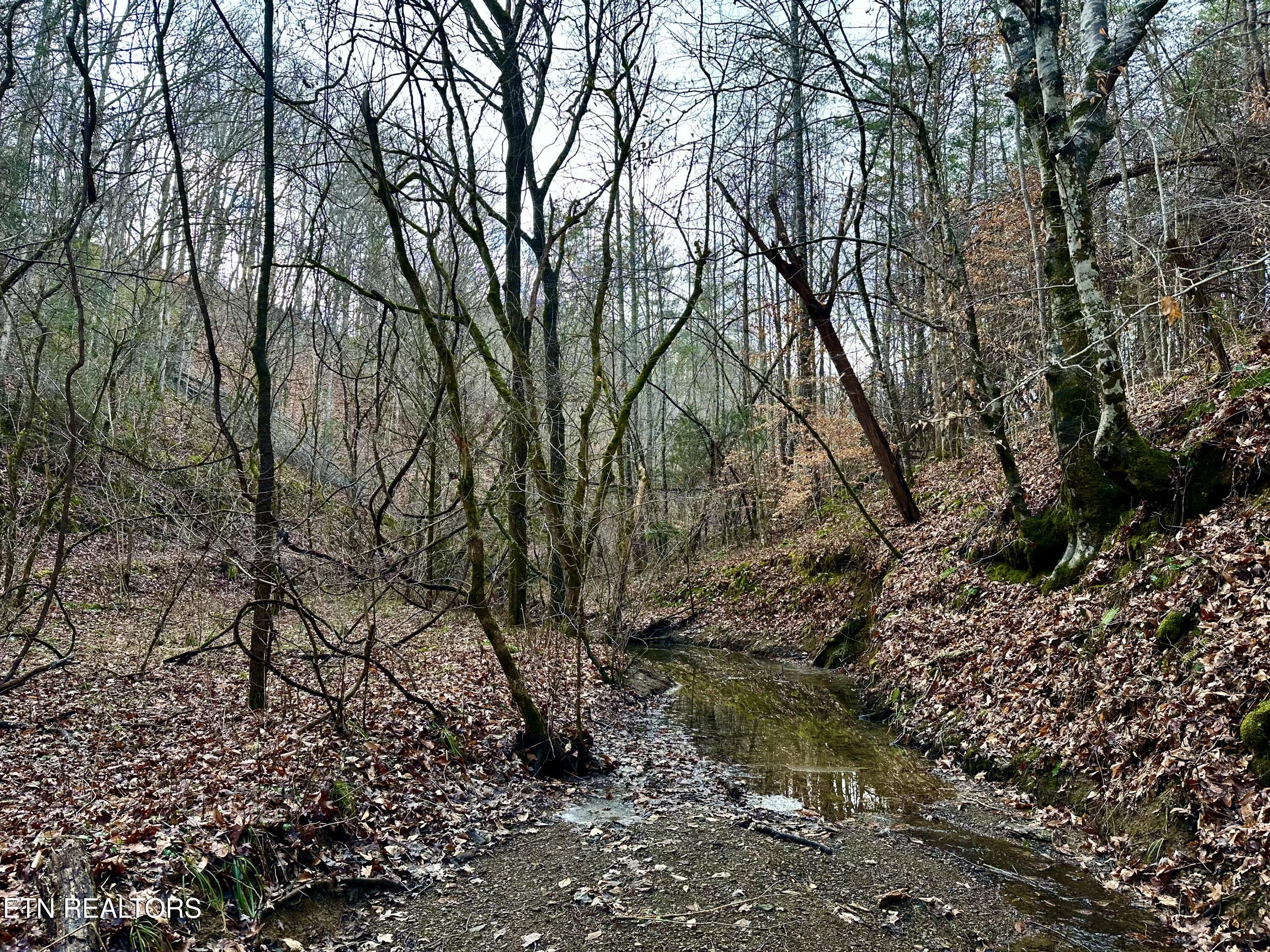 000 Leatherwood Road Sevierville TN 37876