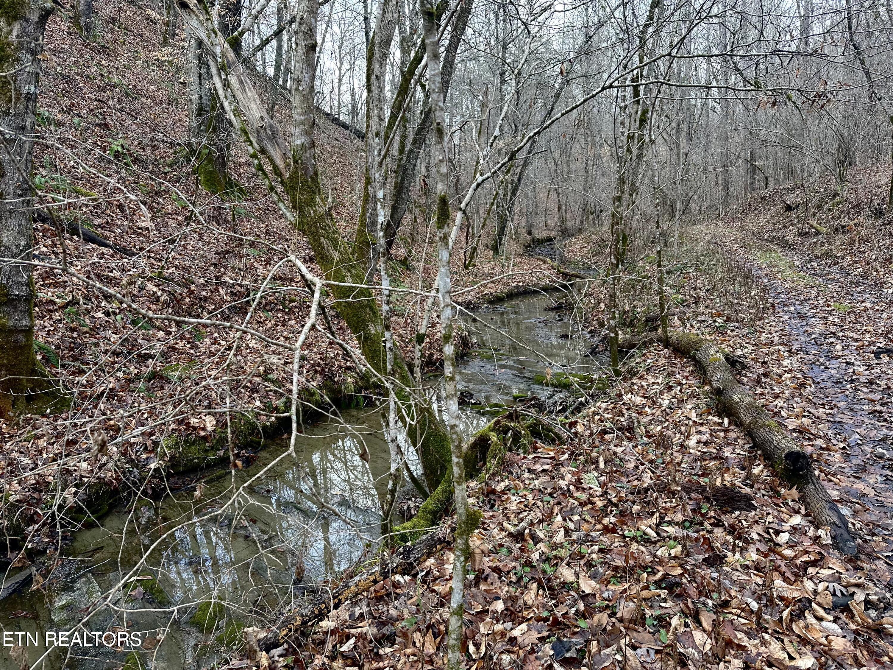 000 Leatherwood Road Sevierville TN 37876