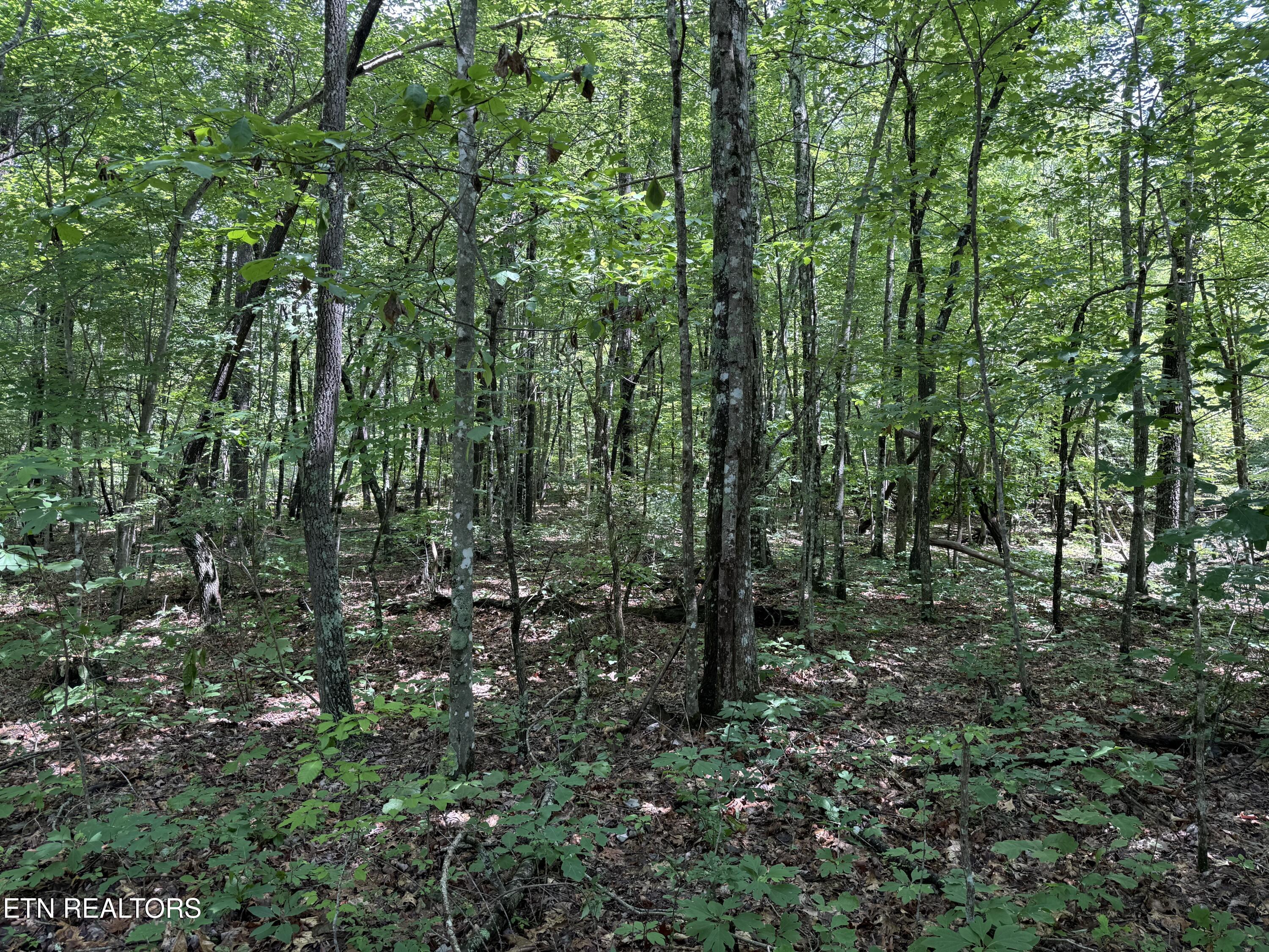 Icy Cove Trail Monterey TN 38574
