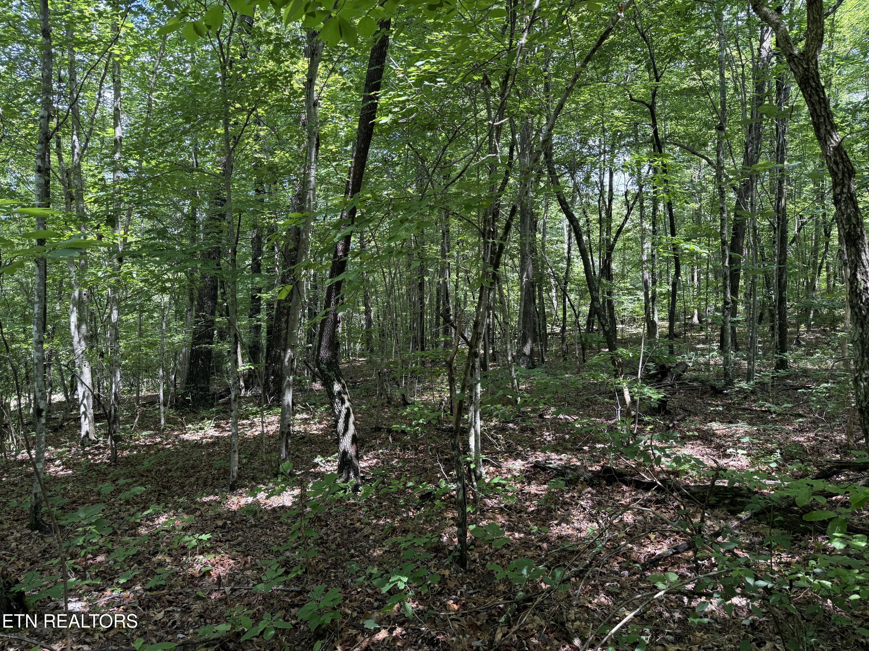 Icy Cove Trail Monterey TN 38574