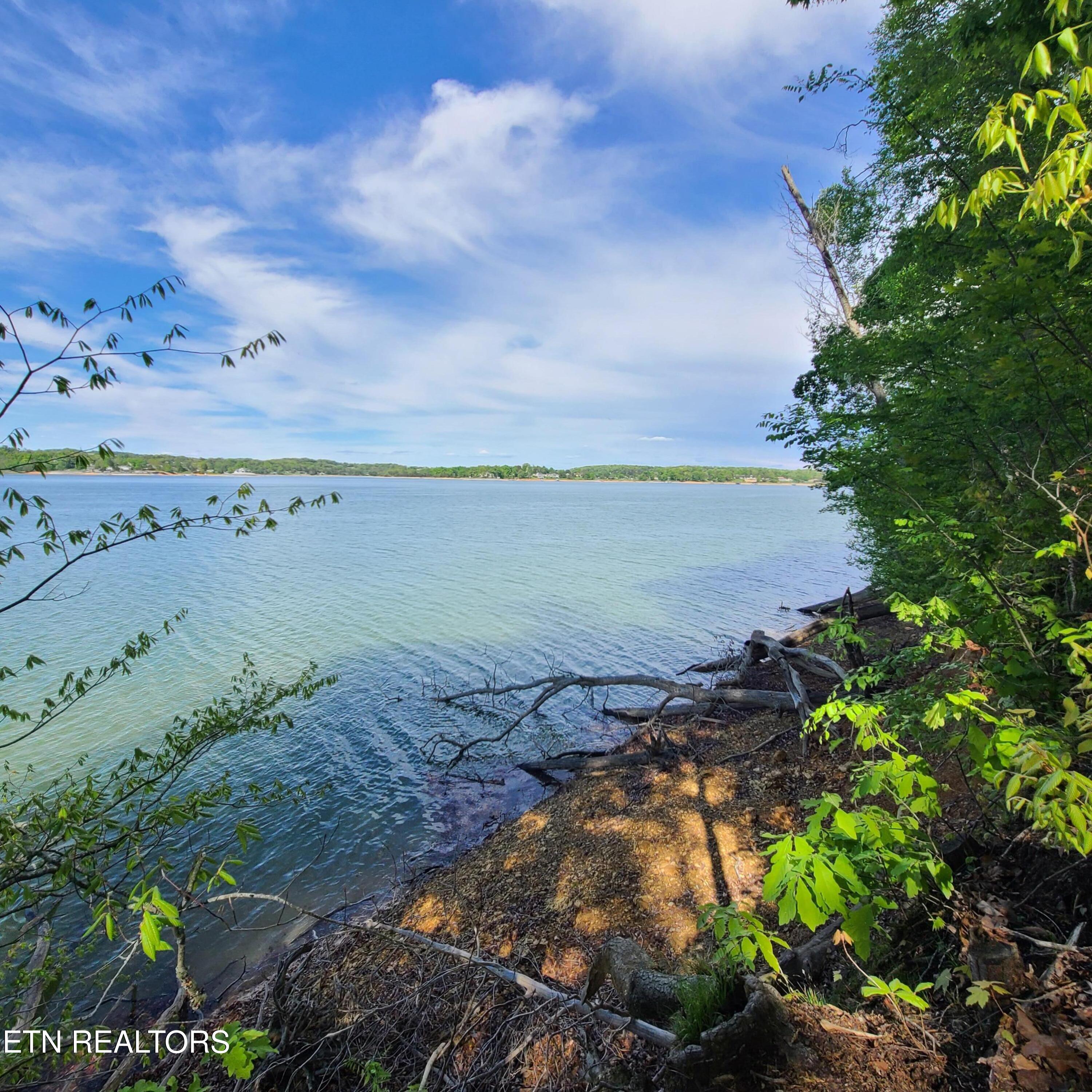 Lot 21 David Swann Drive Dandridge TN 37725