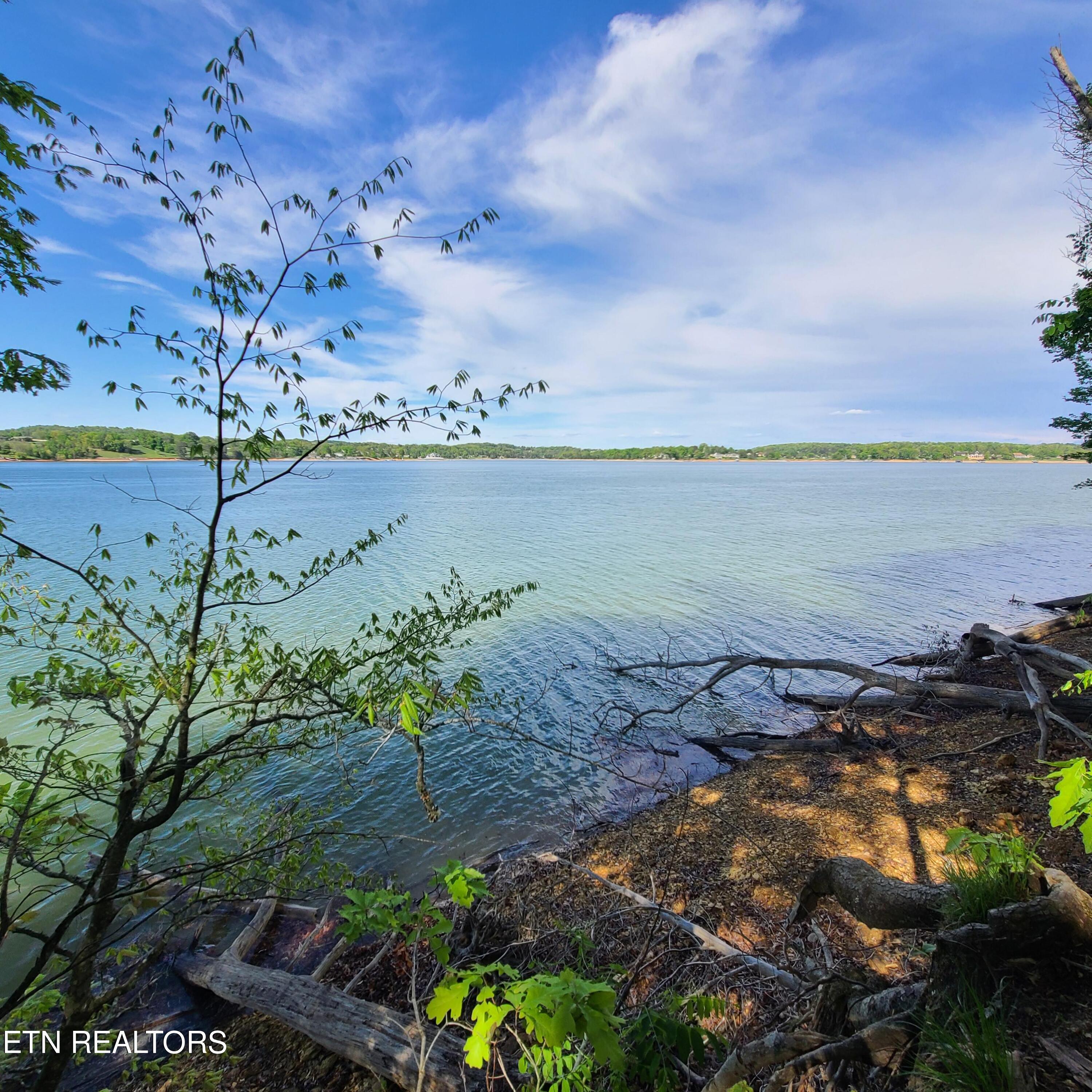 Lot 21 David Swann Drive Dandridge TN 37725