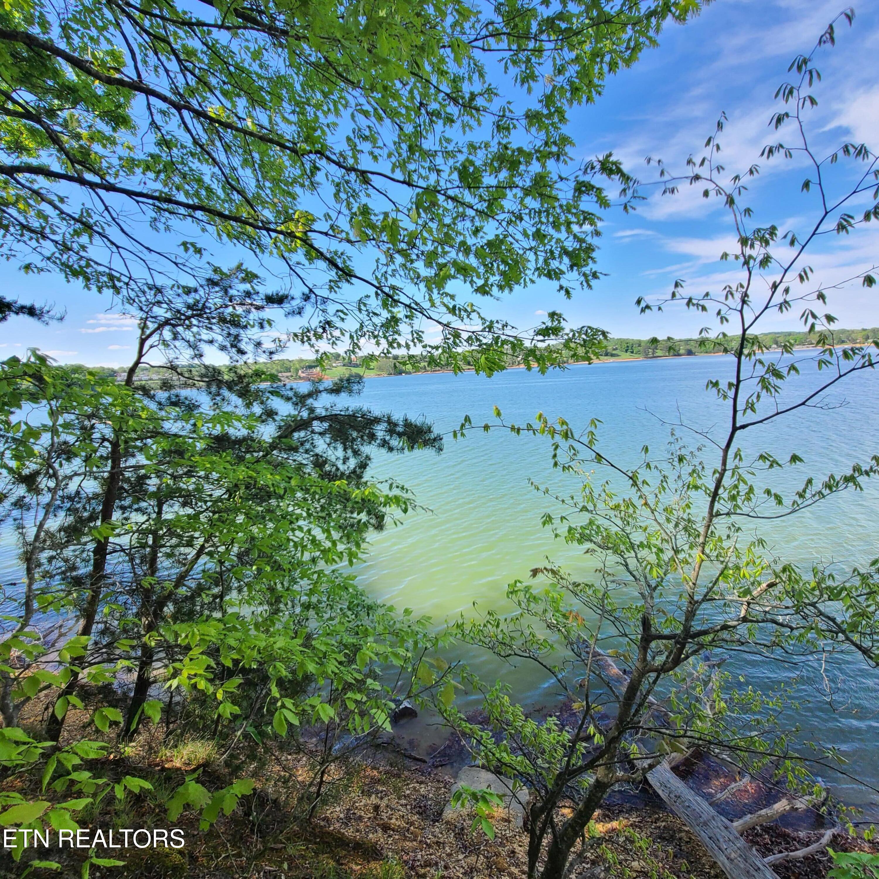 Lot 21 David Swann Drive Dandridge TN 37725