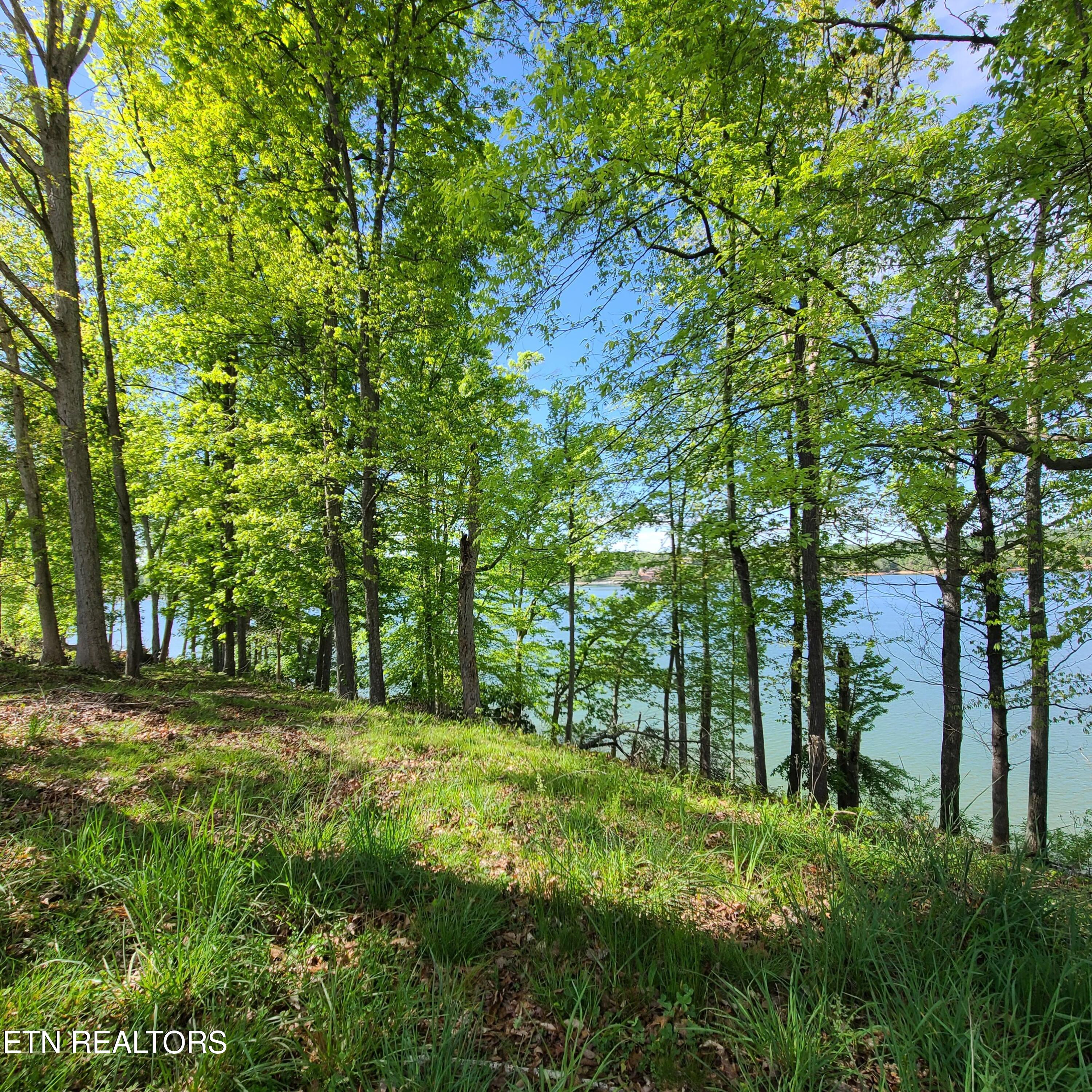 Lot 21 David Swann Drive Dandridge TN 37725