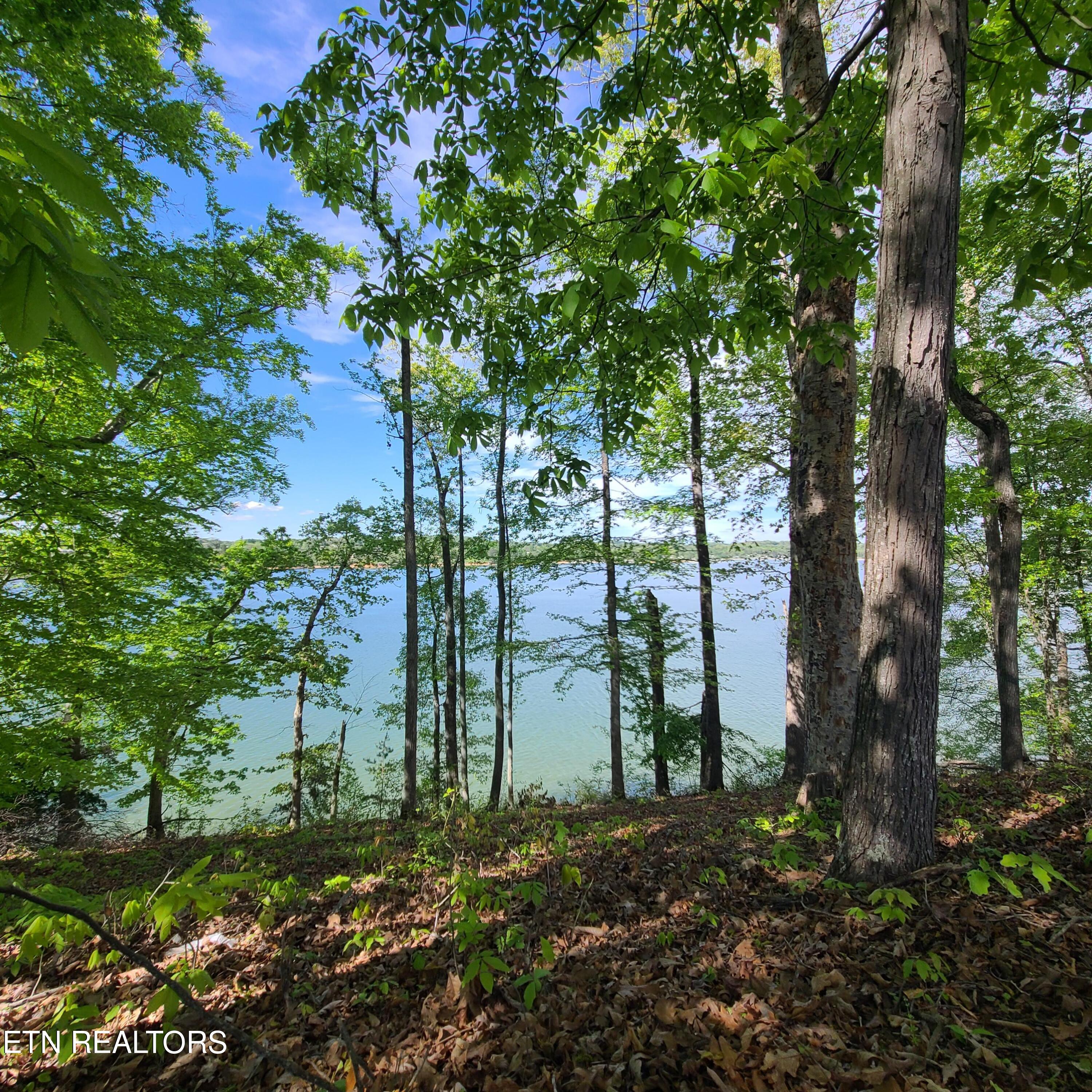 Lot 21 David Swann Drive Dandridge TN 37725