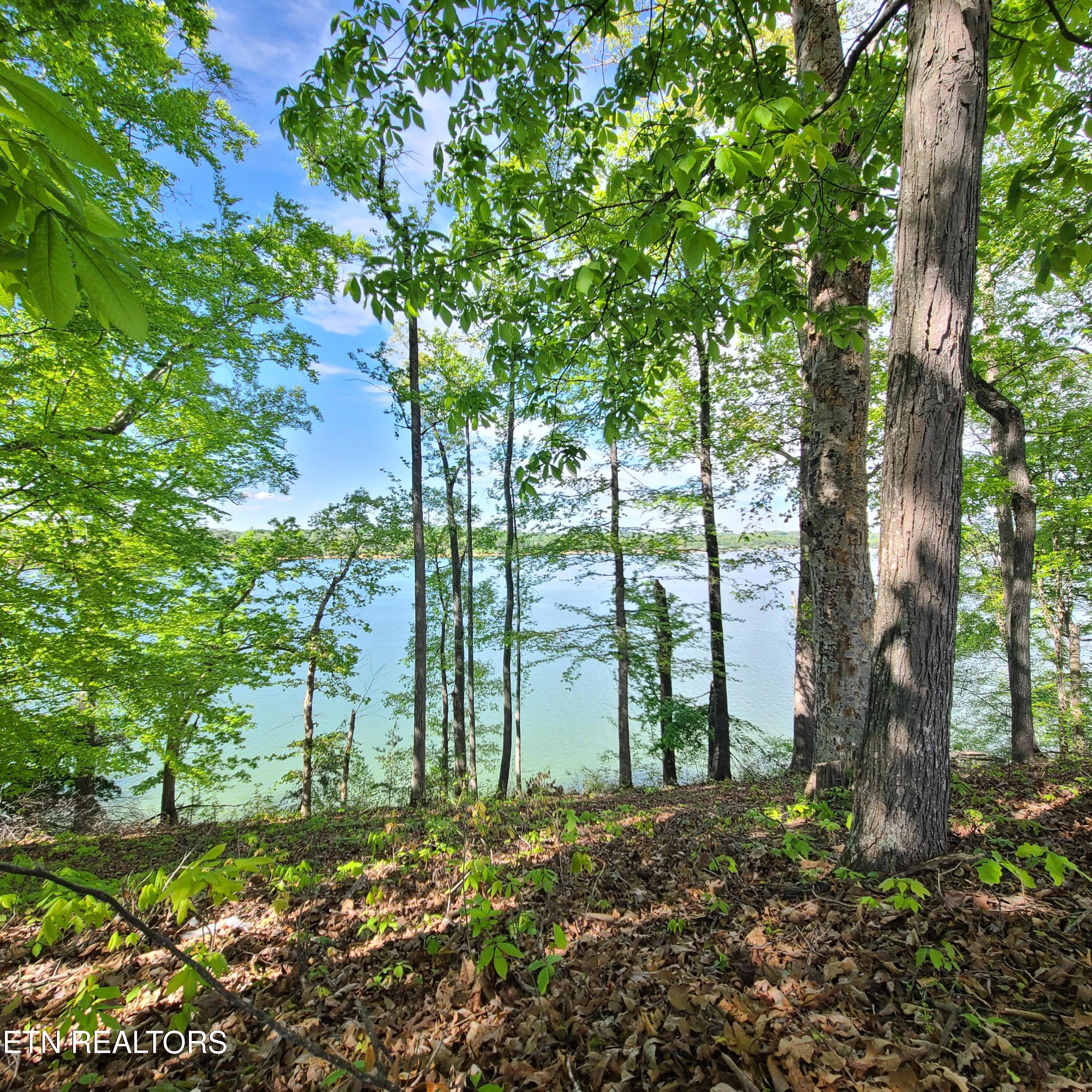Lot 21 David Swann Drive Dandridge TN 37725