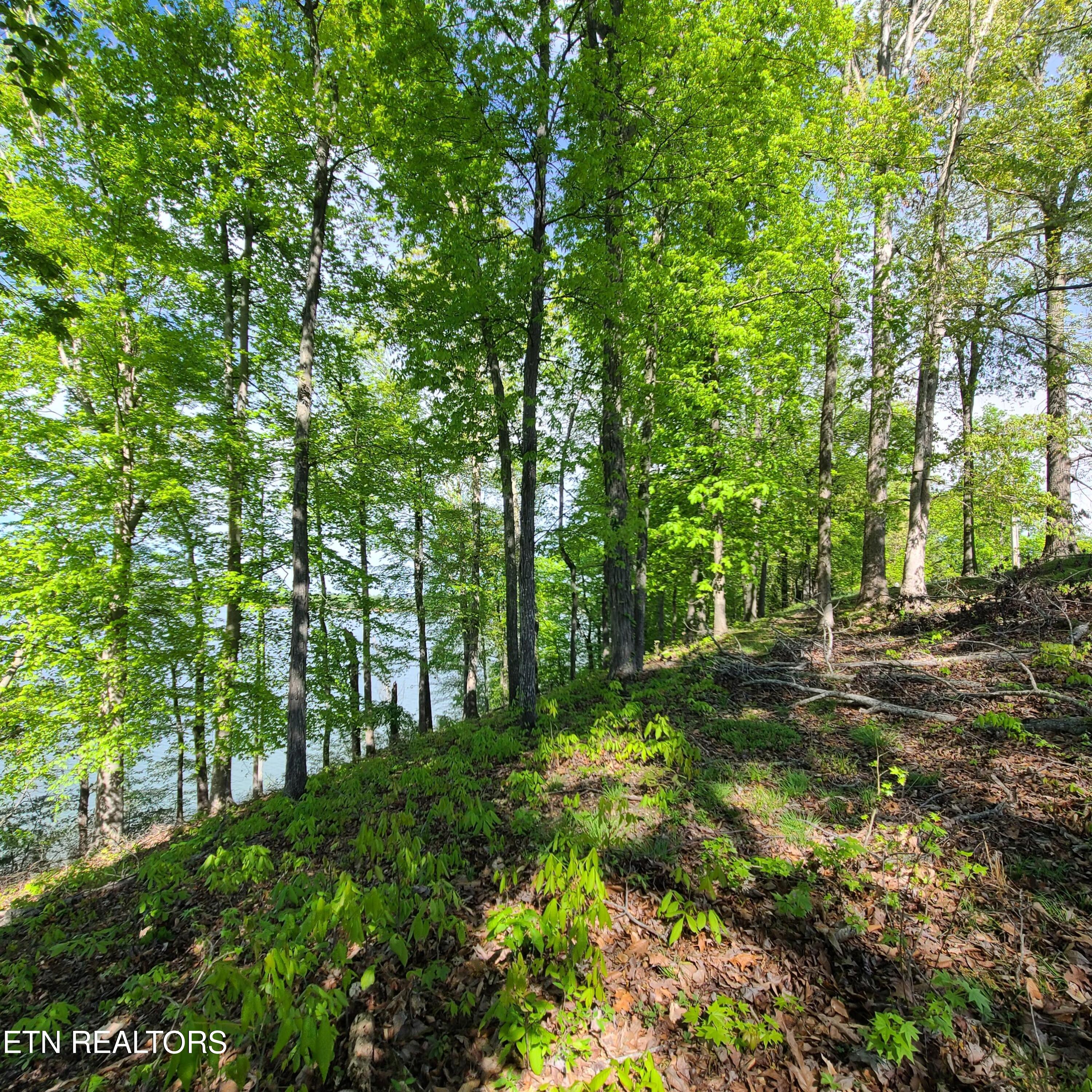 Lot 21 David Swann Drive Dandridge TN 37725