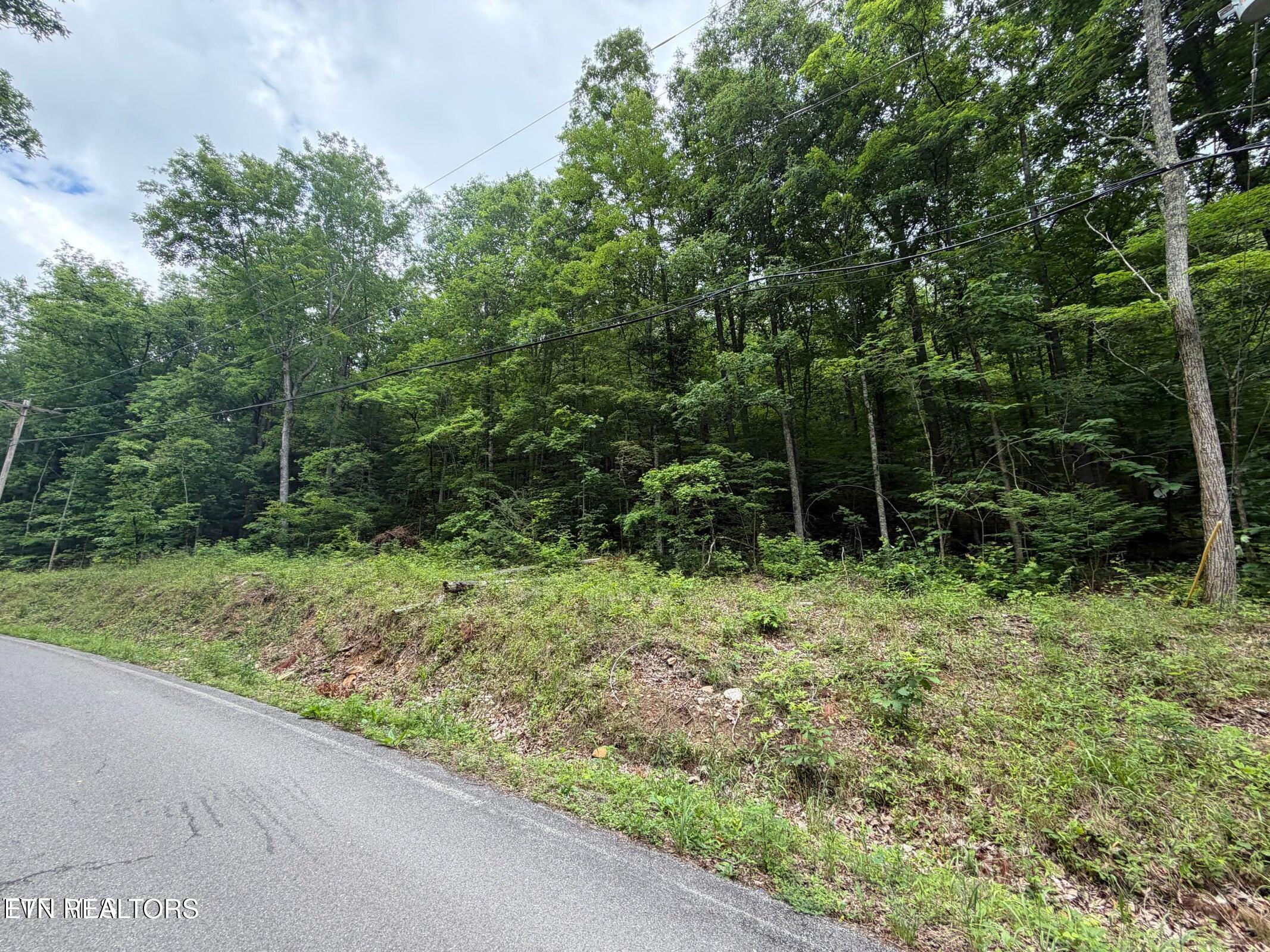 Tbd Alpine Drive Sevierville TN 37876