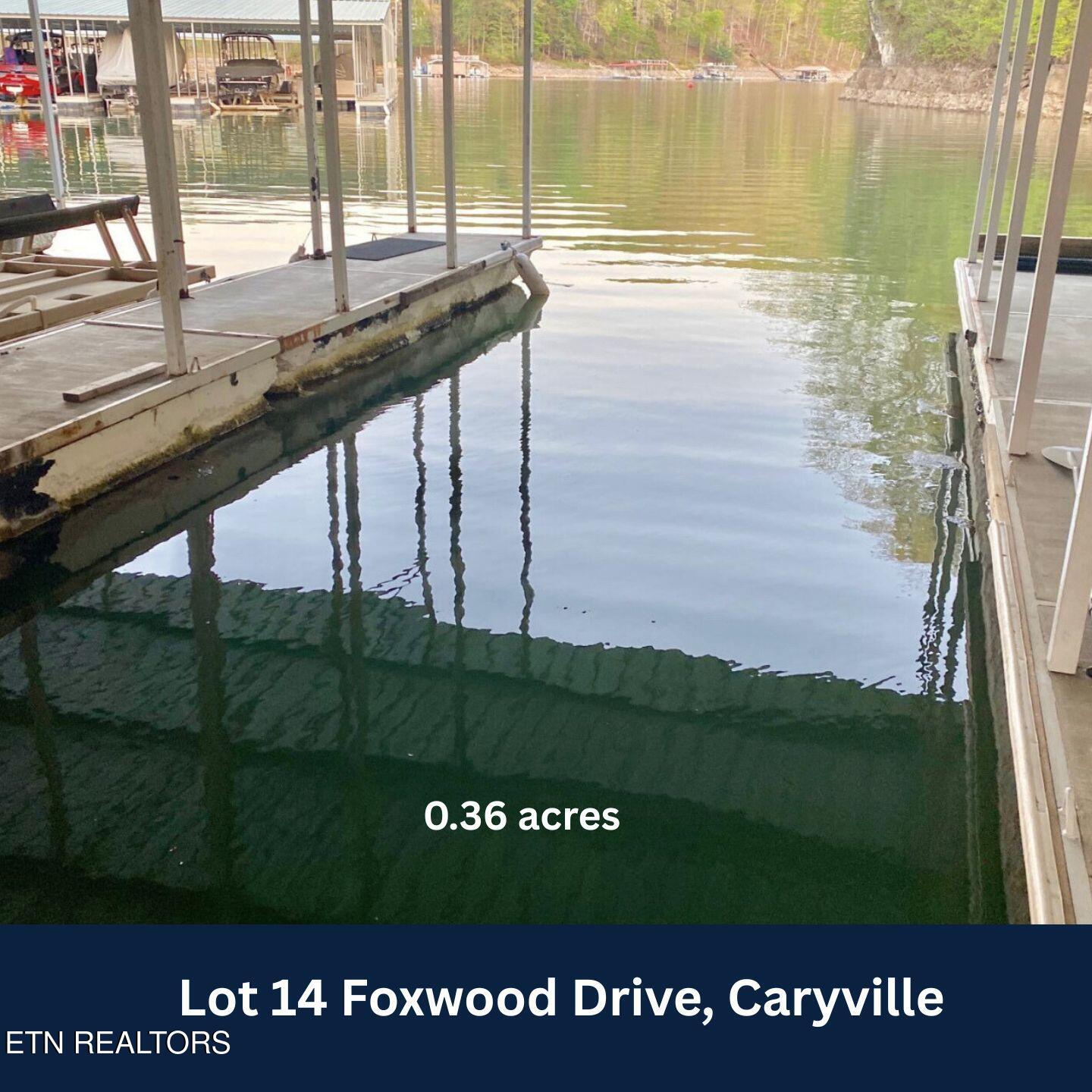 Lot 14 Foxwood Drive Caryville TN 37714