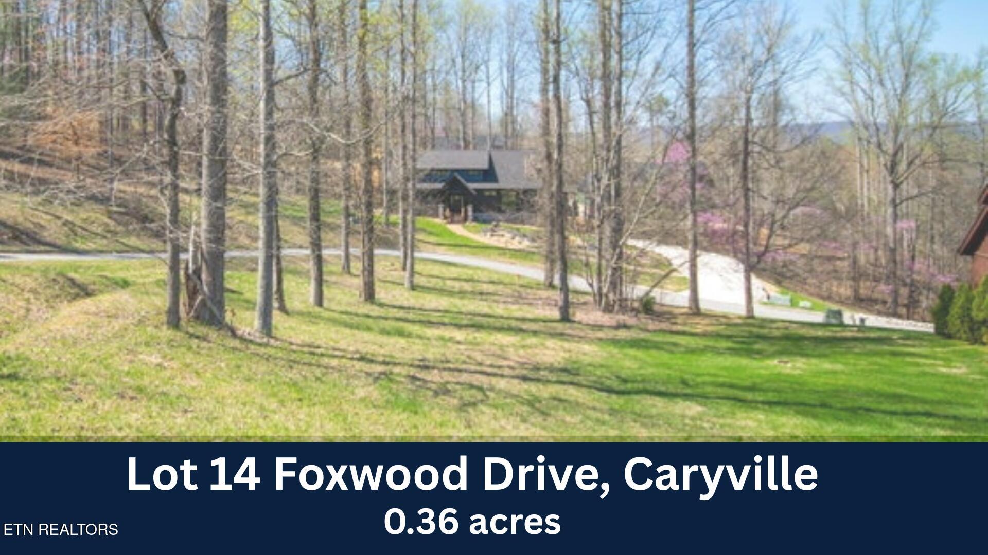 Lot 14 Foxwood Drive Caryville TN 37714