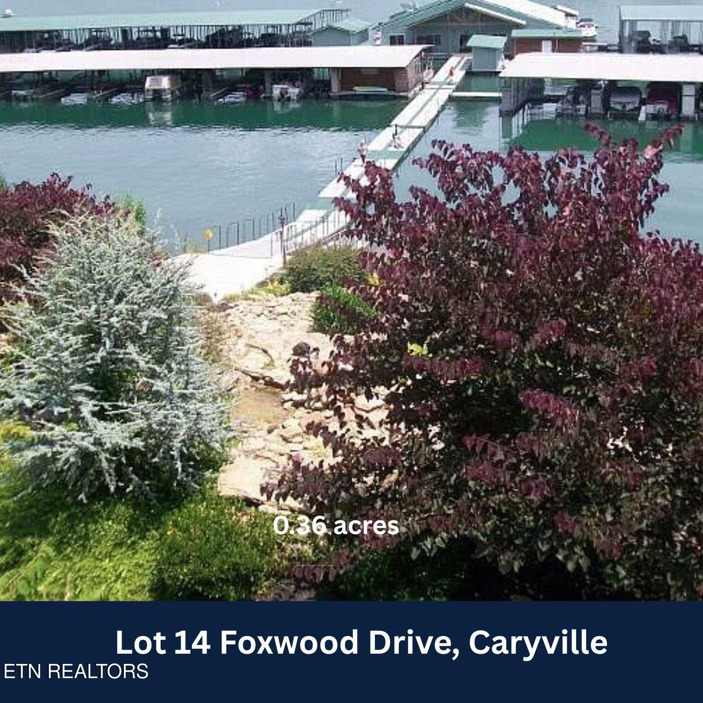 Lot 14 Foxwood Drive Caryville TN 37714