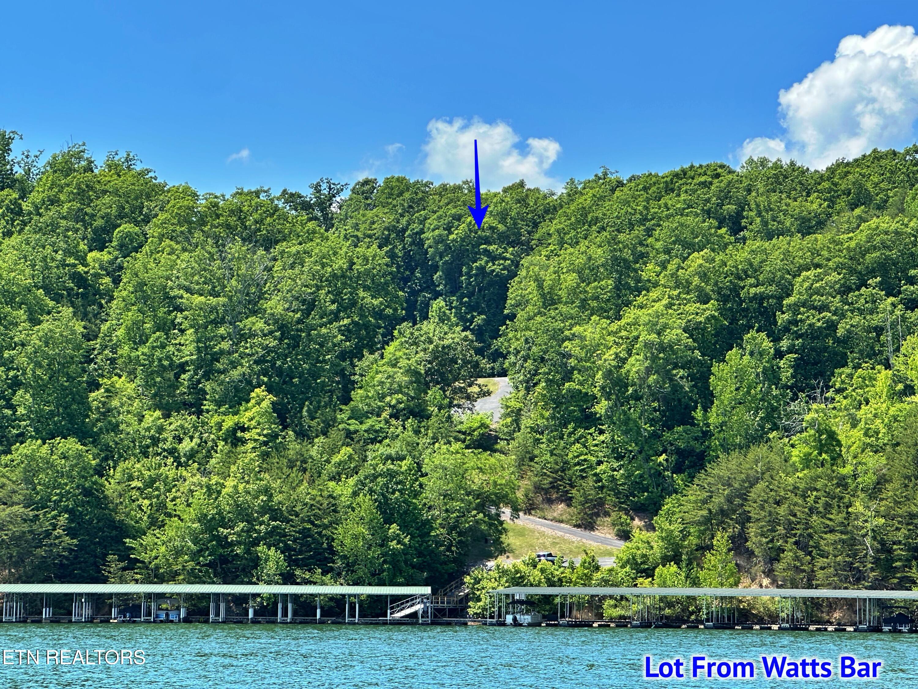 450 Hidden Forest Trail Spring City TN 37381