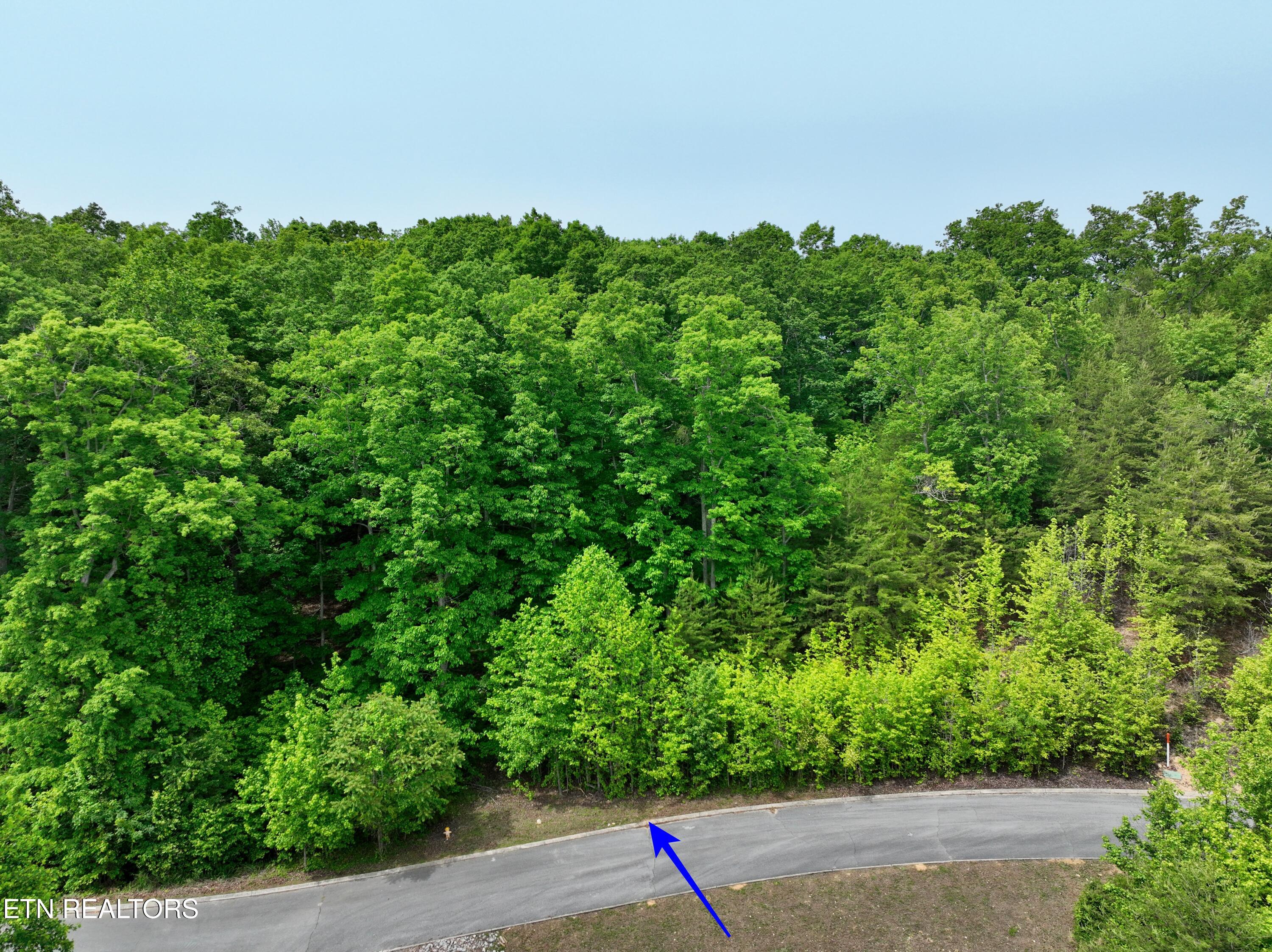 450 Hidden Forest Trail Spring City TN 37381