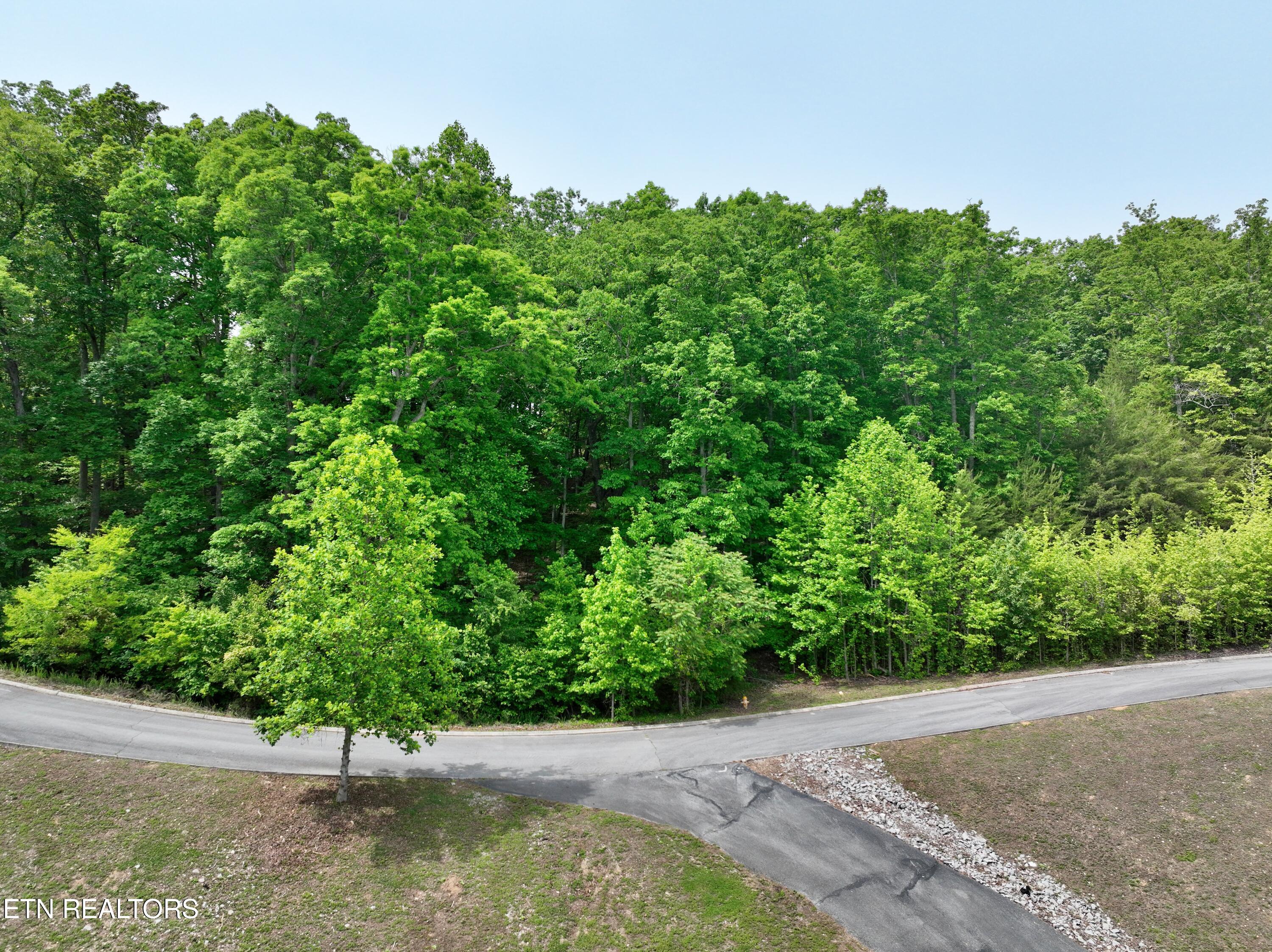 450 Hidden Forest Trail Spring City TN 37381