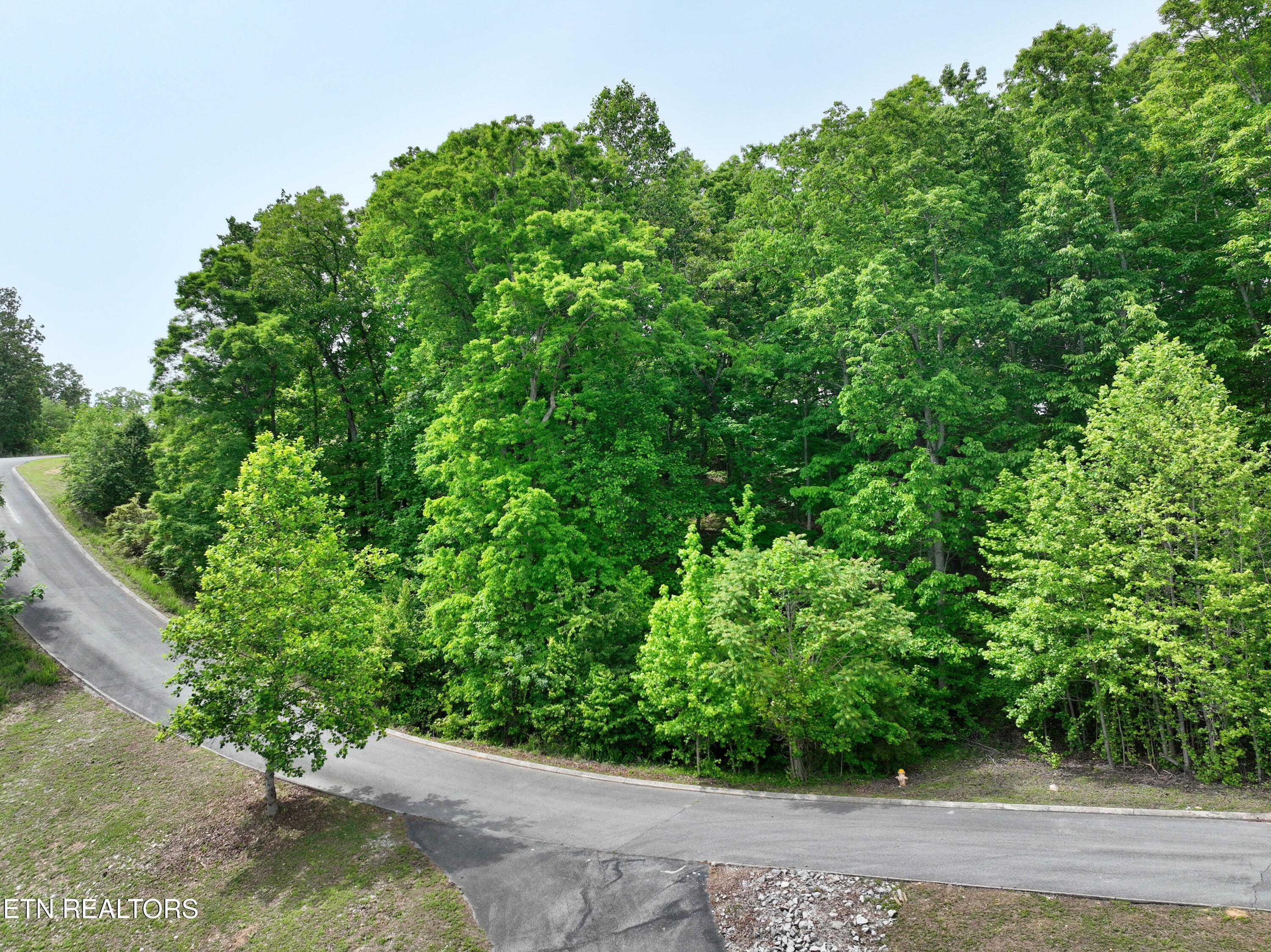 450 Hidden Forest Trail Spring City TN 37381
