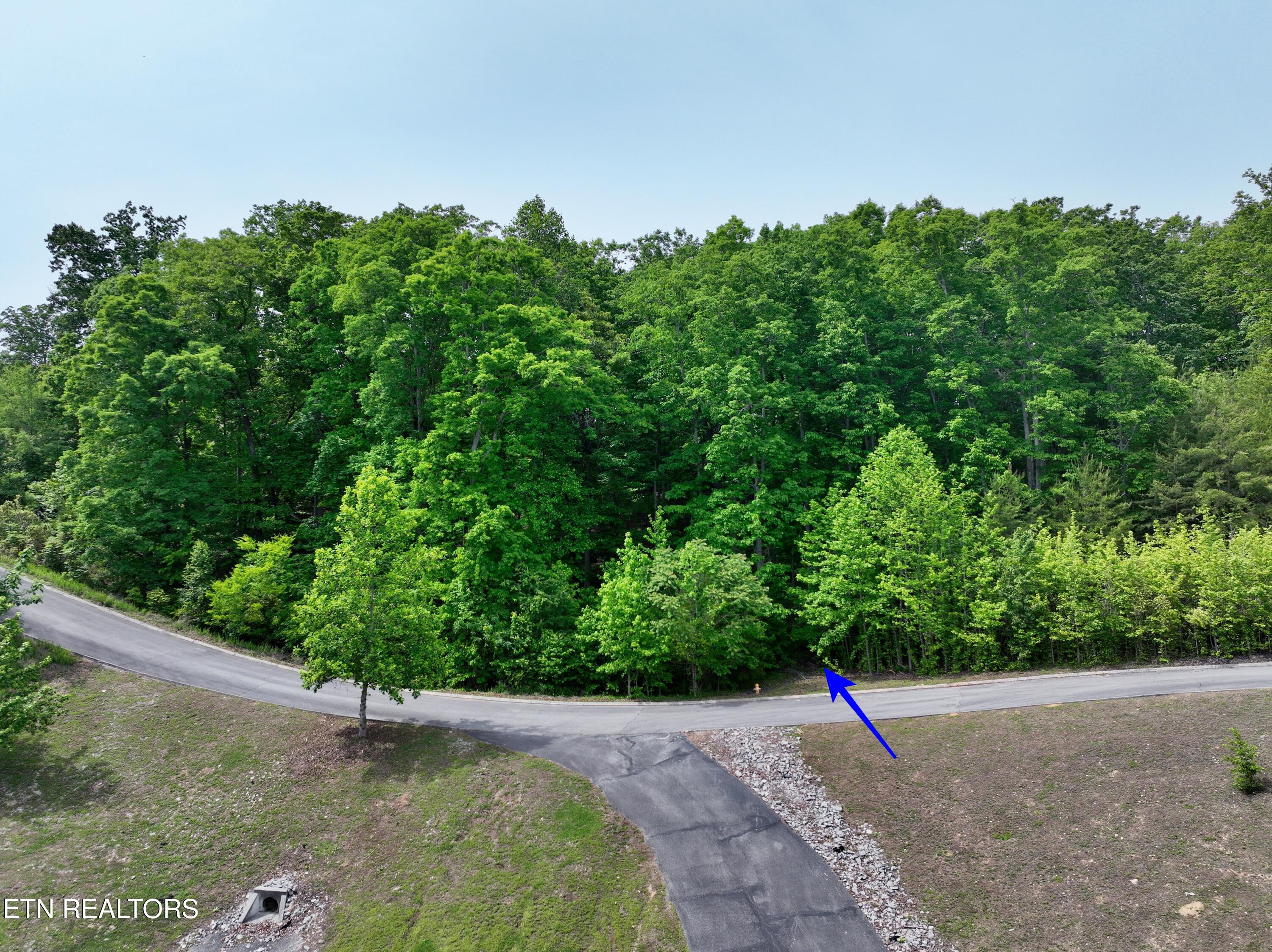 450 Hidden Forest Trail Spring City TN 37381