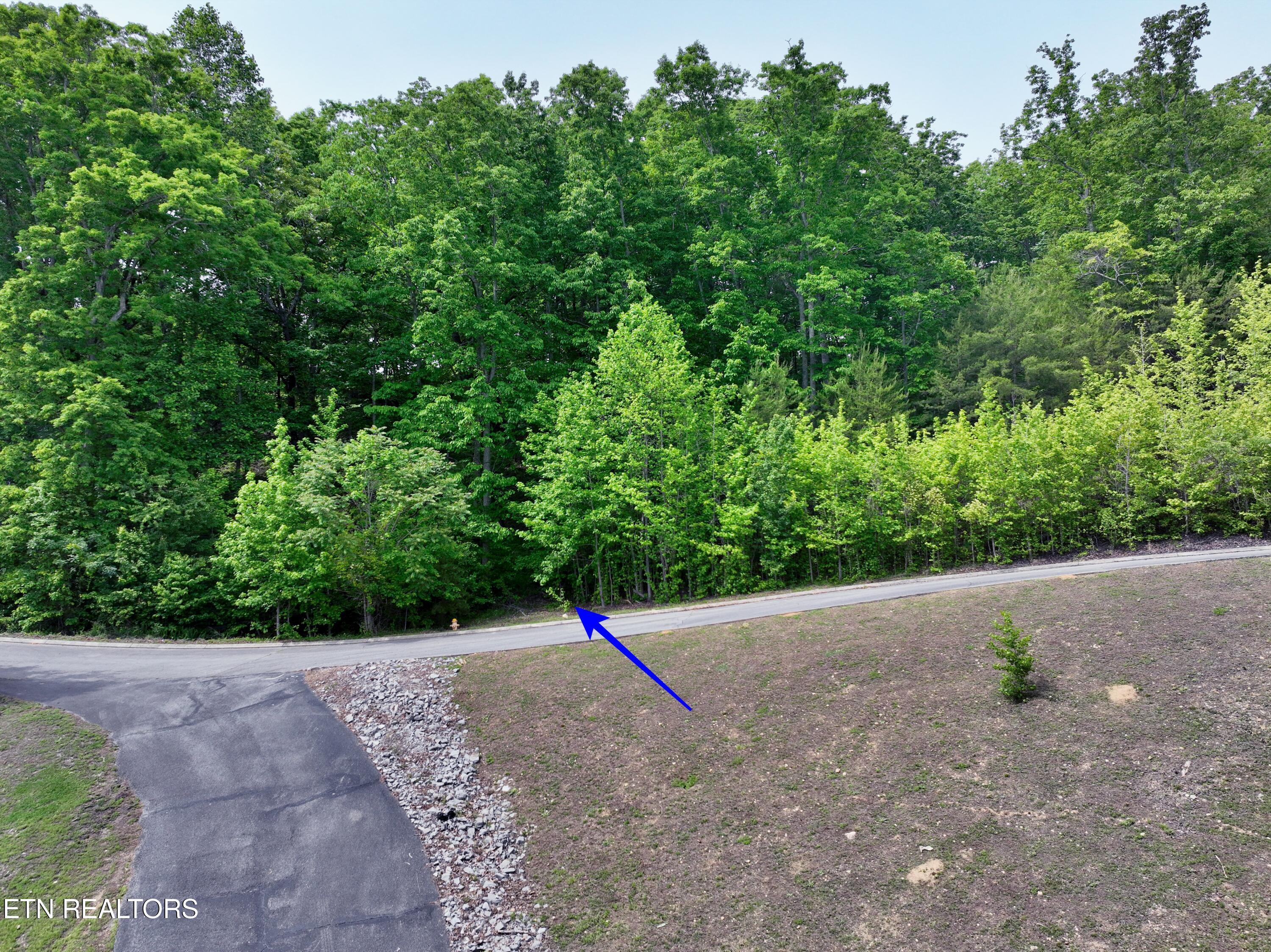 450 Hidden Forest Trail Spring City TN 37381