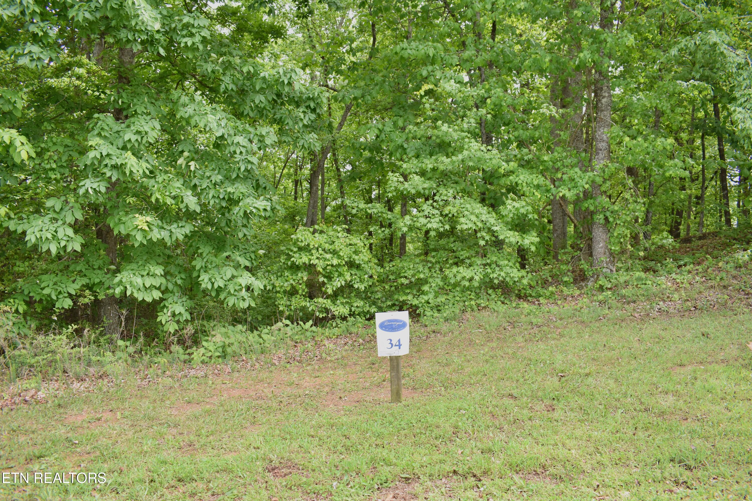 450 Hidden Forest Trail Spring City TN 37381