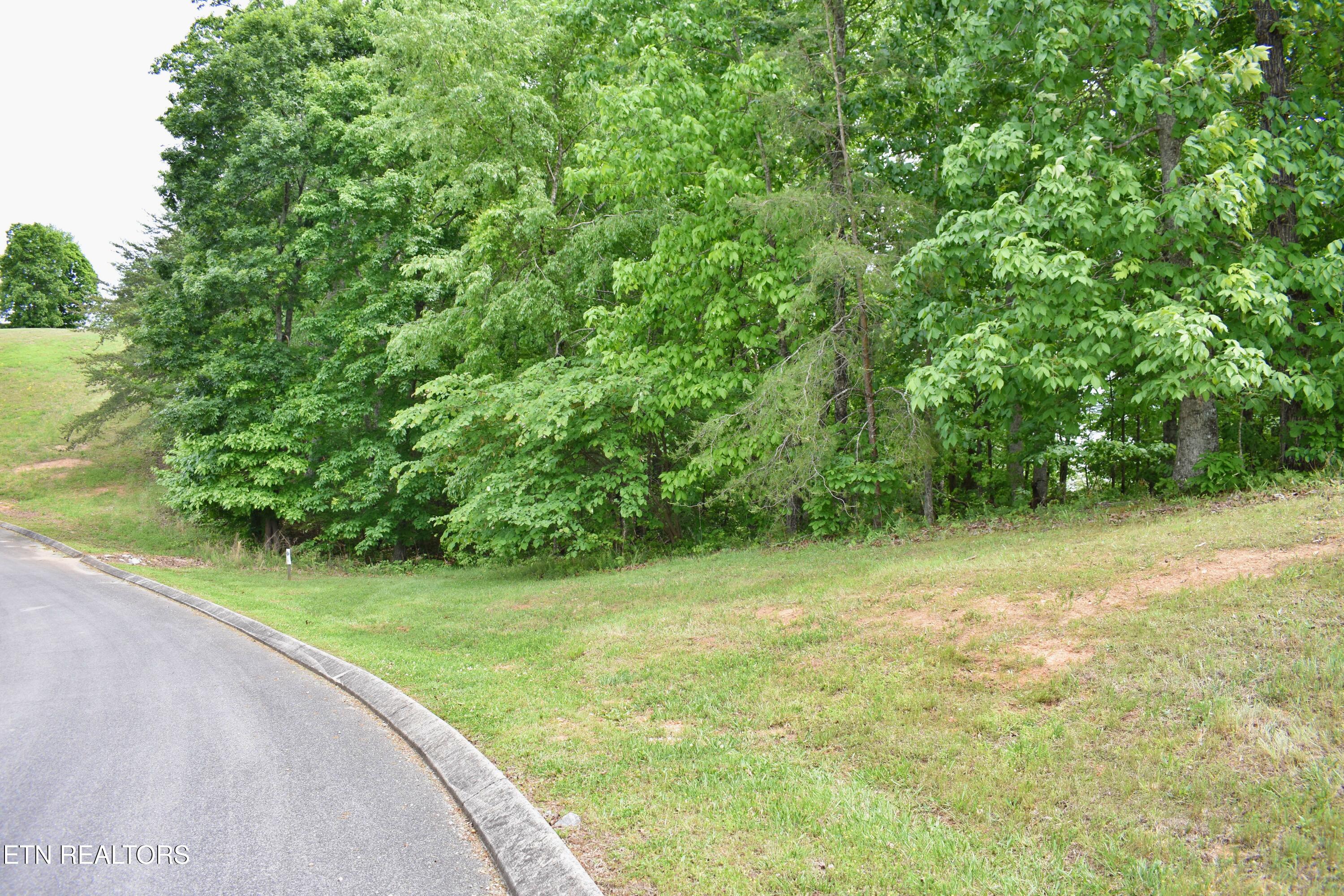 450 Hidden Forest Trail Spring City TN 37381