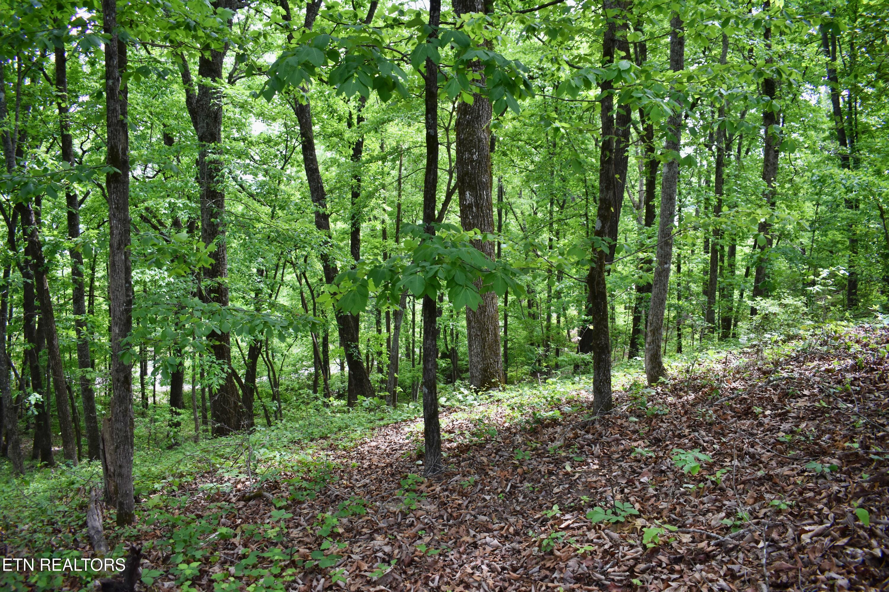 450 Hidden Forest Trail Spring City TN 37381