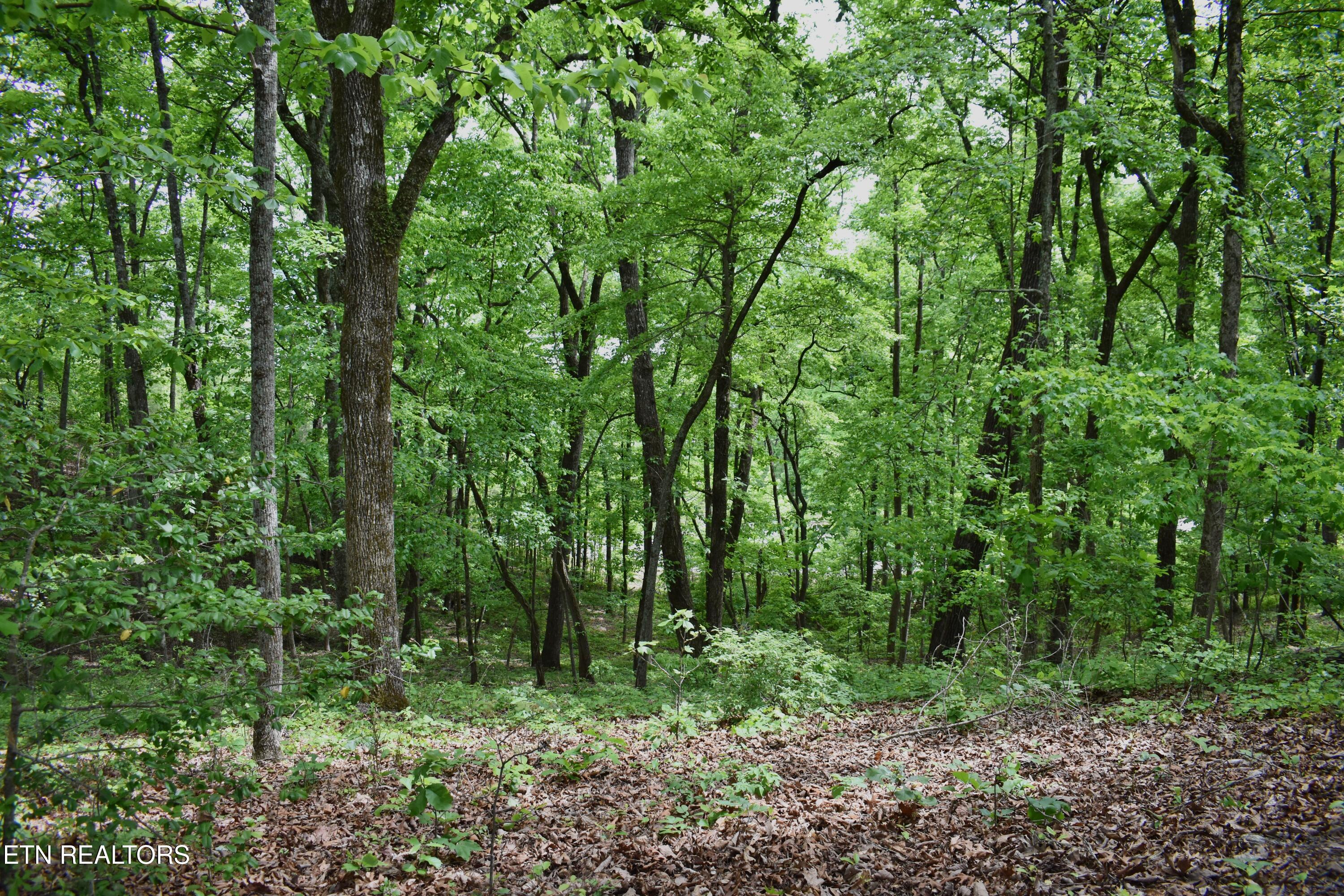 450 Hidden Forest Trail Spring City TN 37381