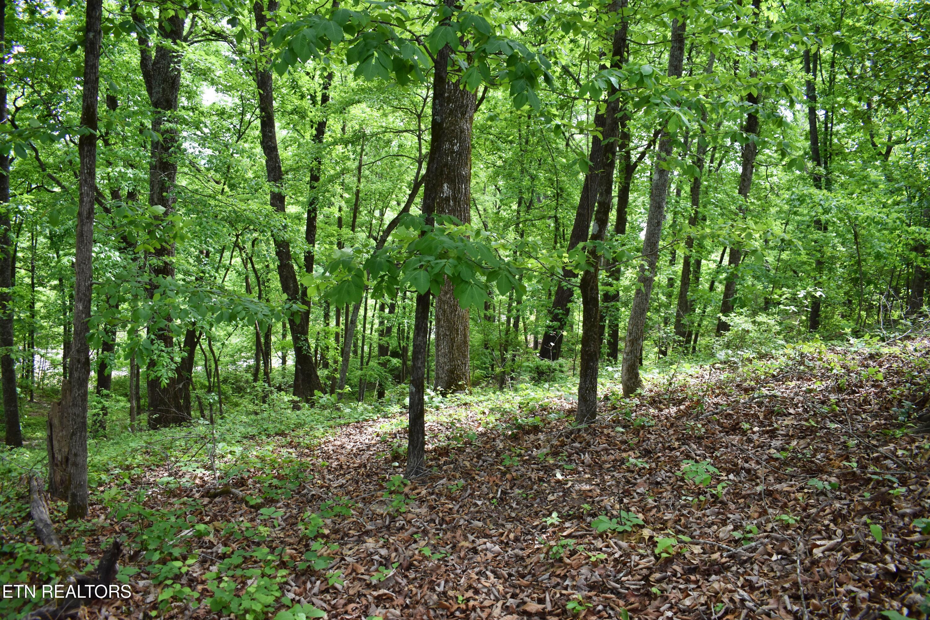 450 Hidden Forest Trail Spring City TN 37381