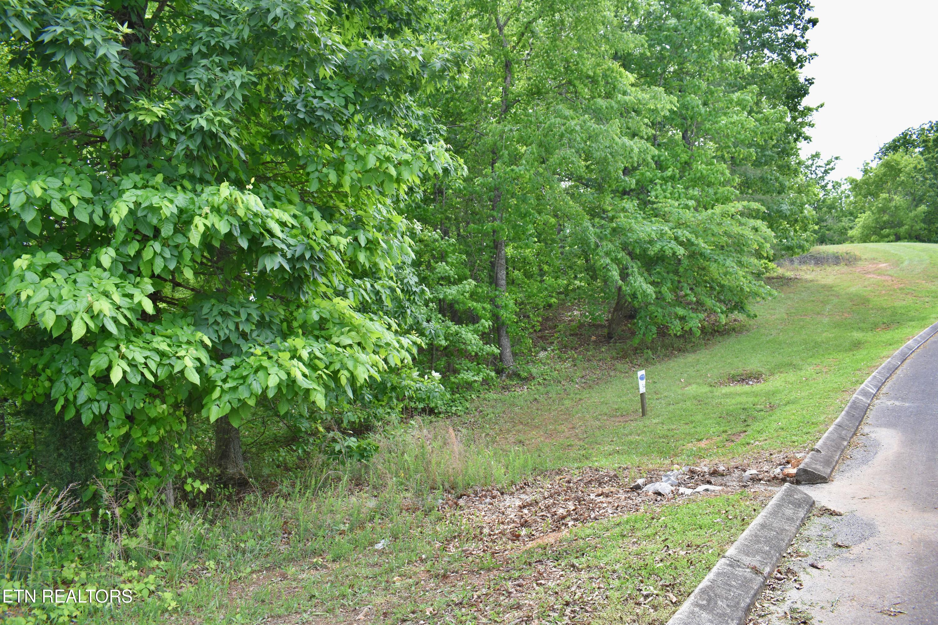 450 Hidden Forest Trail Spring City TN 37381
