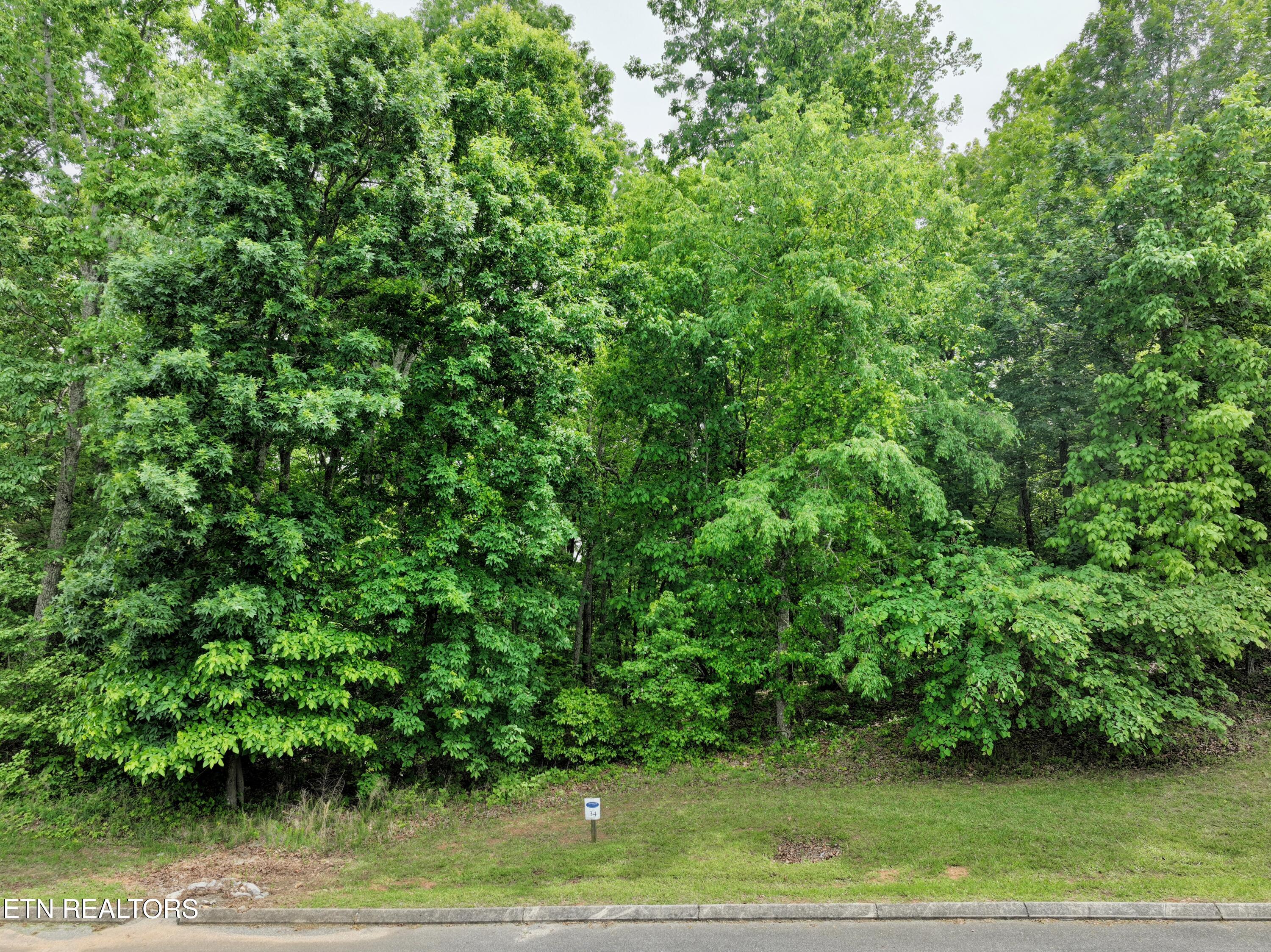 450 Hidden Forest Trail Spring City TN 37381