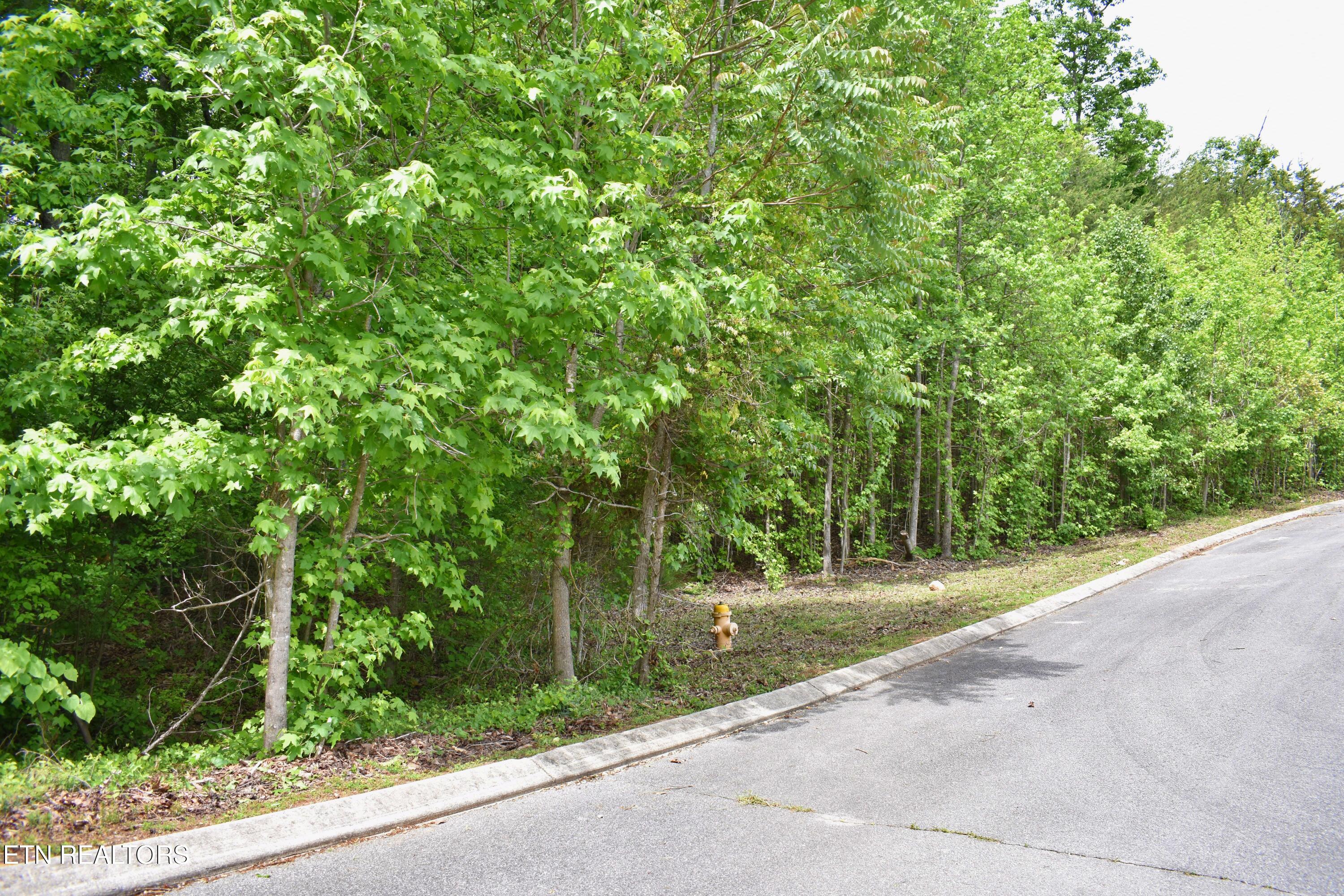 450 Hidden Forest Trail Spring City TN 37381