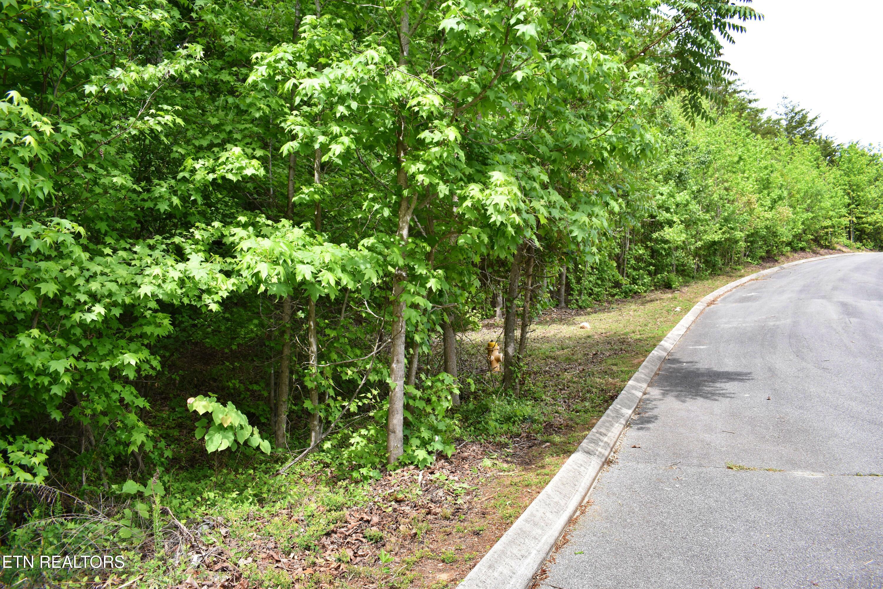 450 Hidden Forest Trail Spring City TN 37381
