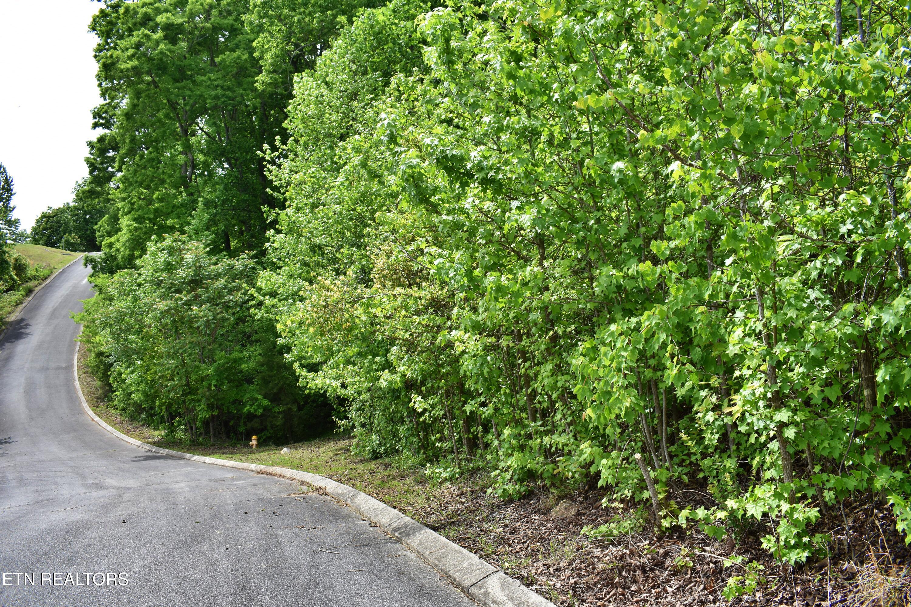 450 Hidden Forest Trail Spring City TN 37381