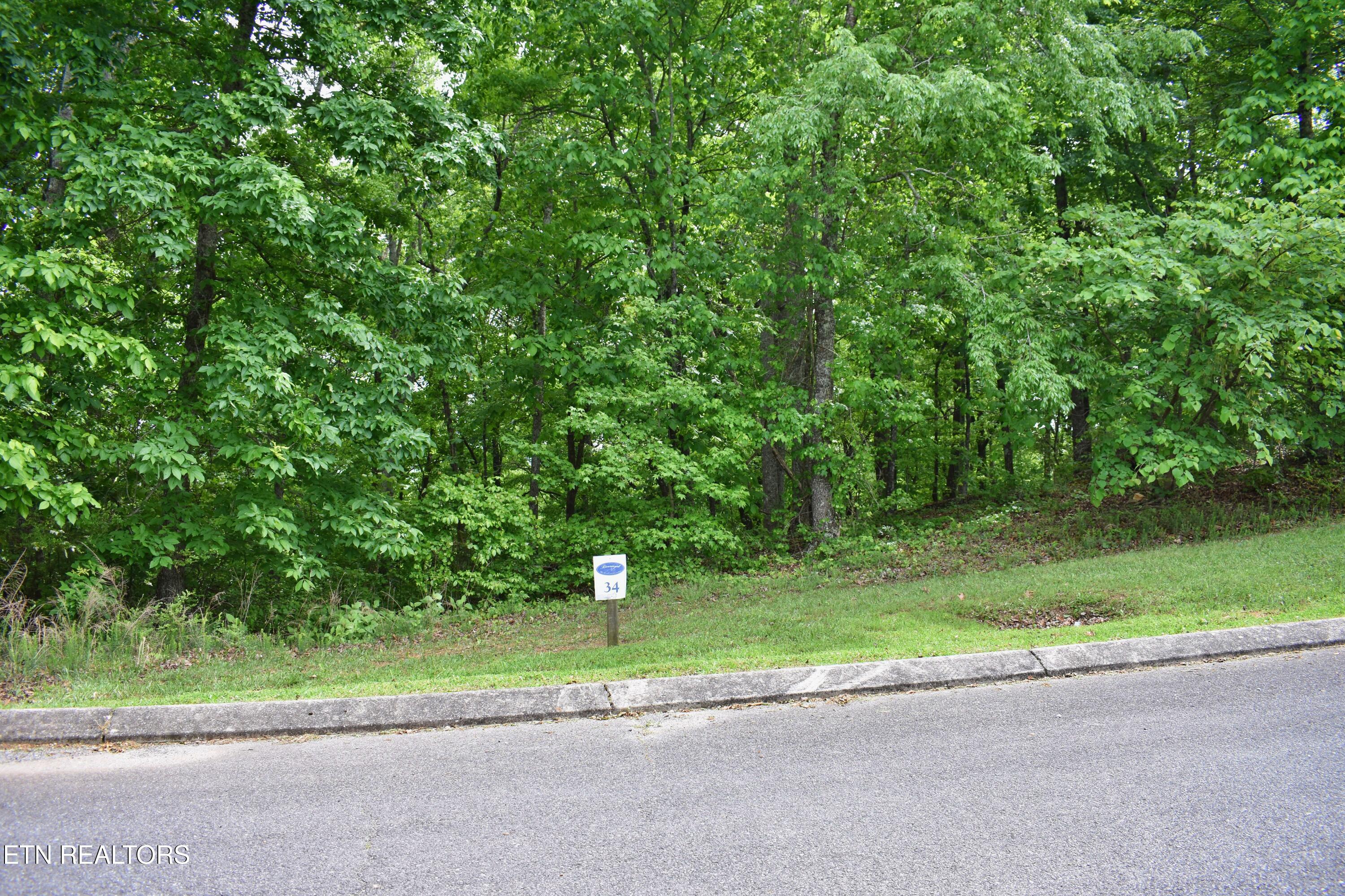 450 Hidden Forest Trail Spring City TN 37381