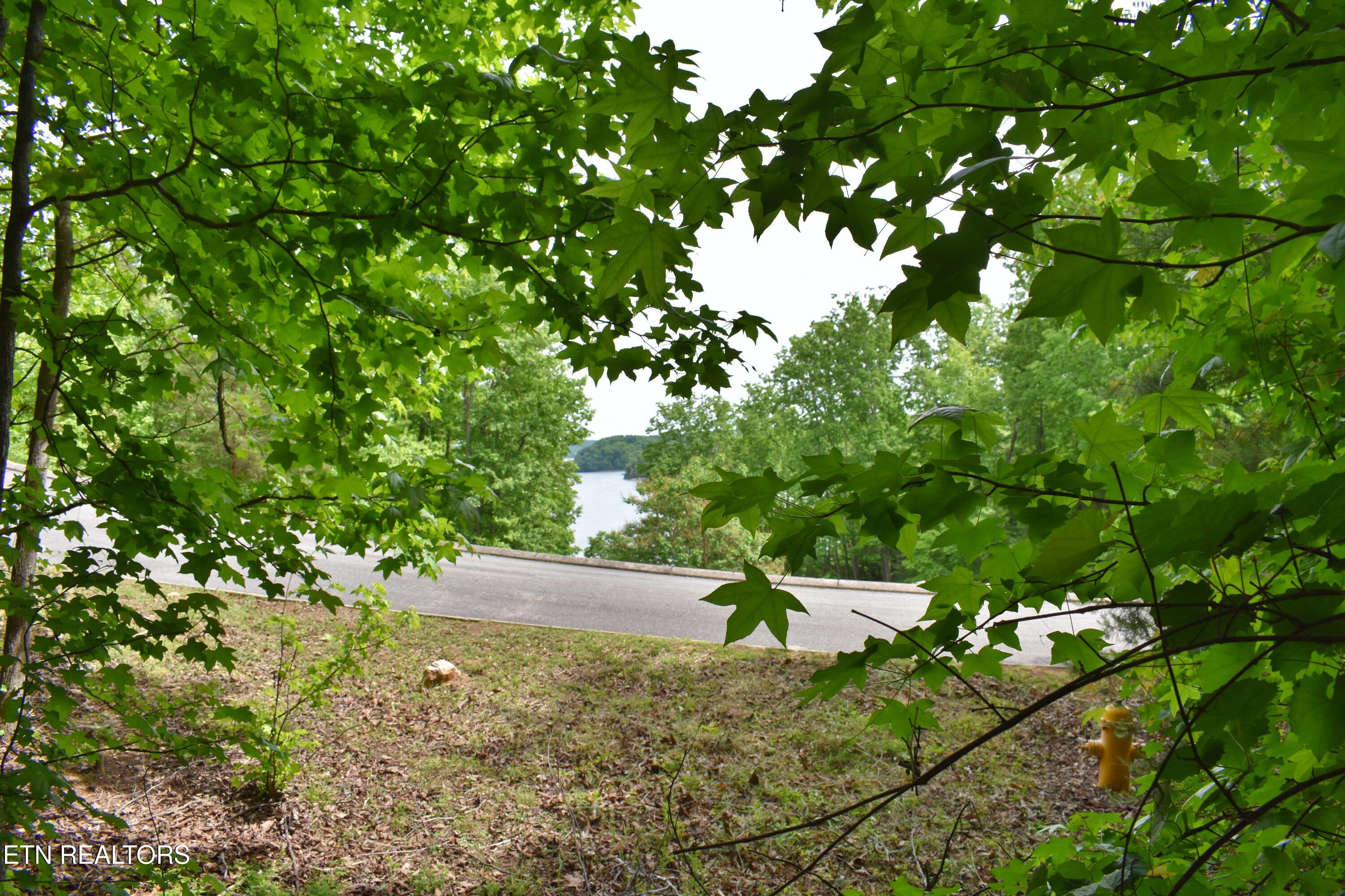 450 Hidden Forest Trail Spring City TN 37381