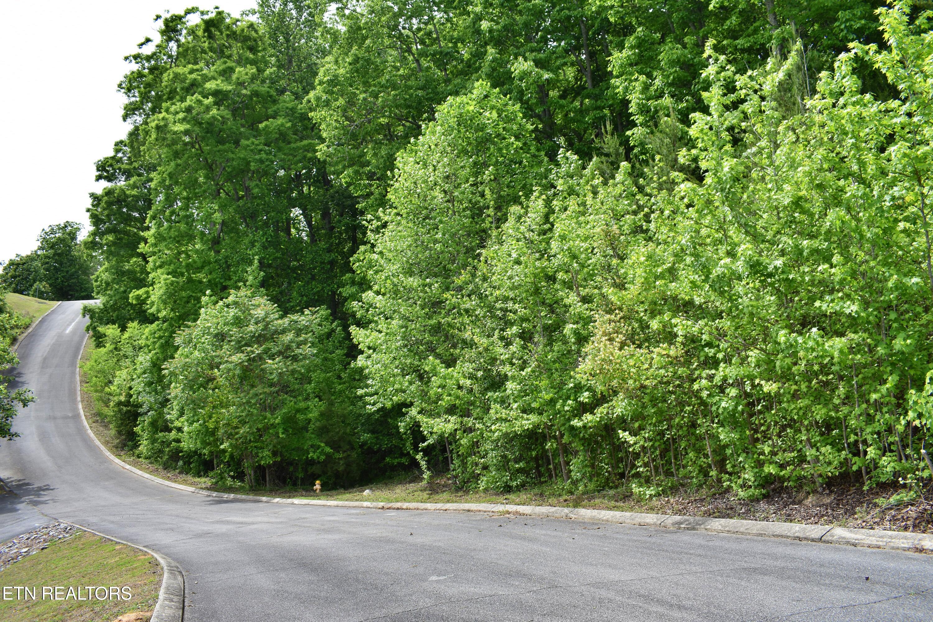 450 Hidden Forest Trail Spring City TN 37381