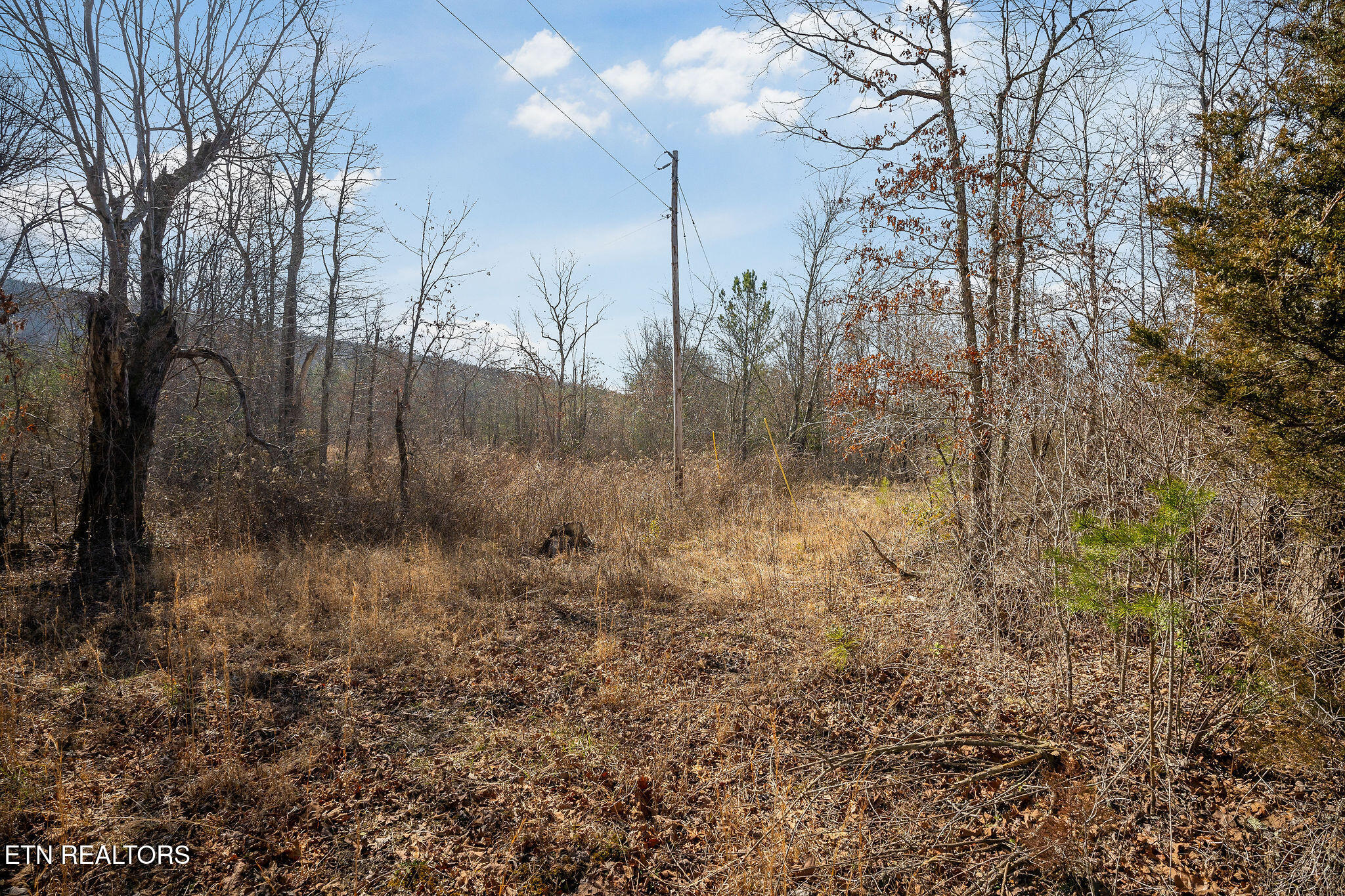 00 Hebbertsburg Road Crab Orchard TN 37723