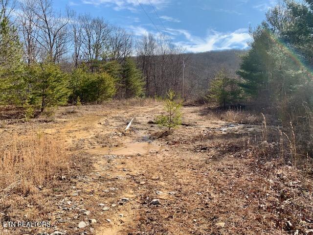 00 Hebbertsburg Road Crab Orchard TN 37723