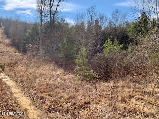 00 Hebbertsburg Road Crab Orchard TN 37723