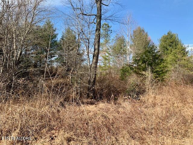 00 Hebbertsburg Road Crab Orchard TN 37723